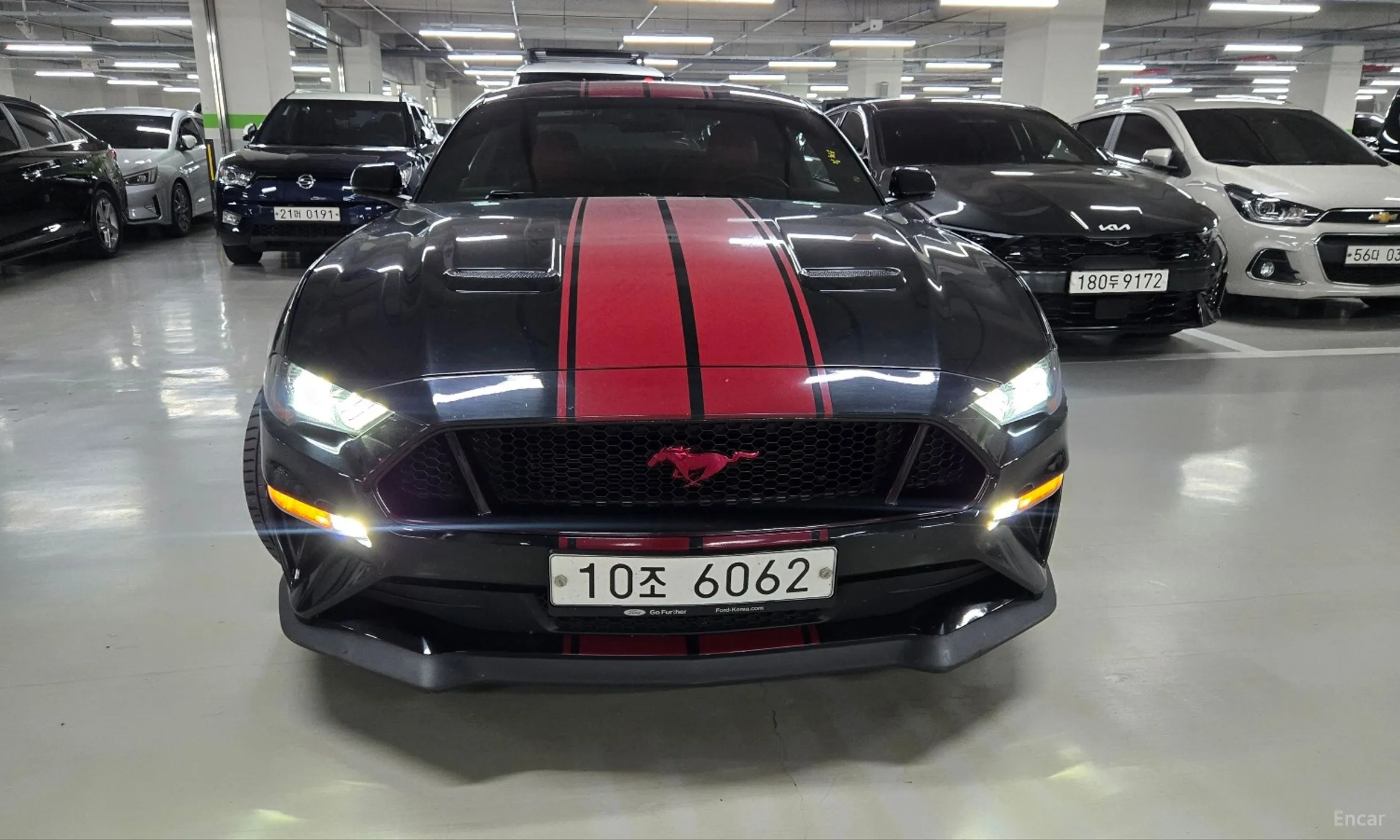 Mustang