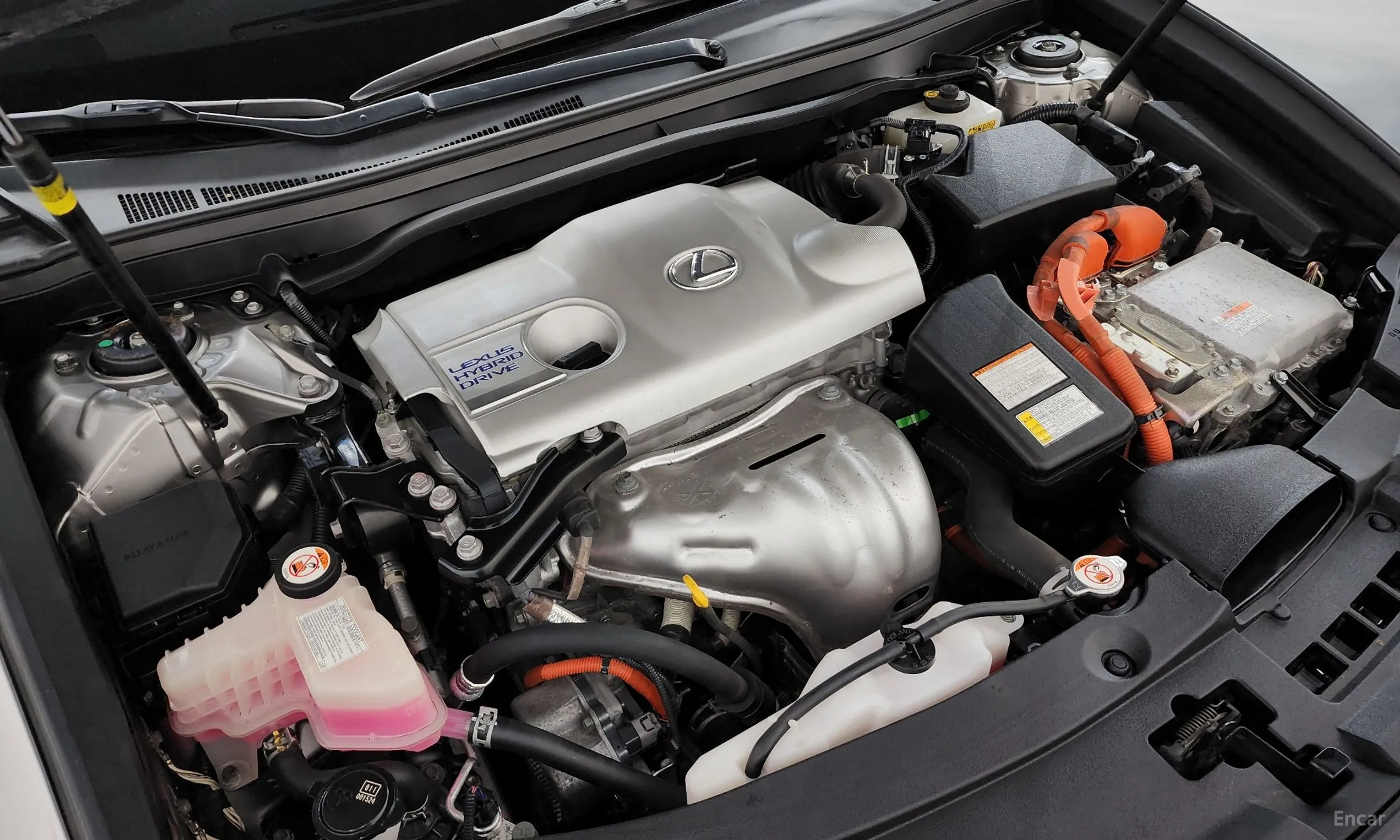 Lexus New ES300h превью 6