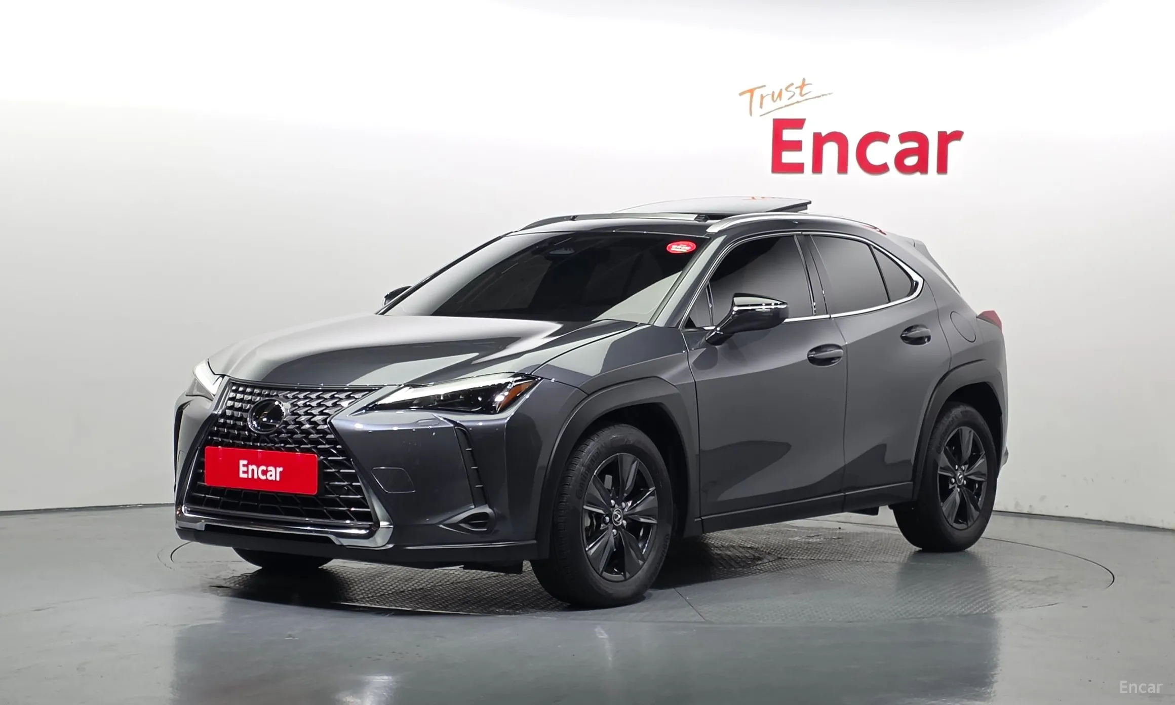 Lexus UX300h