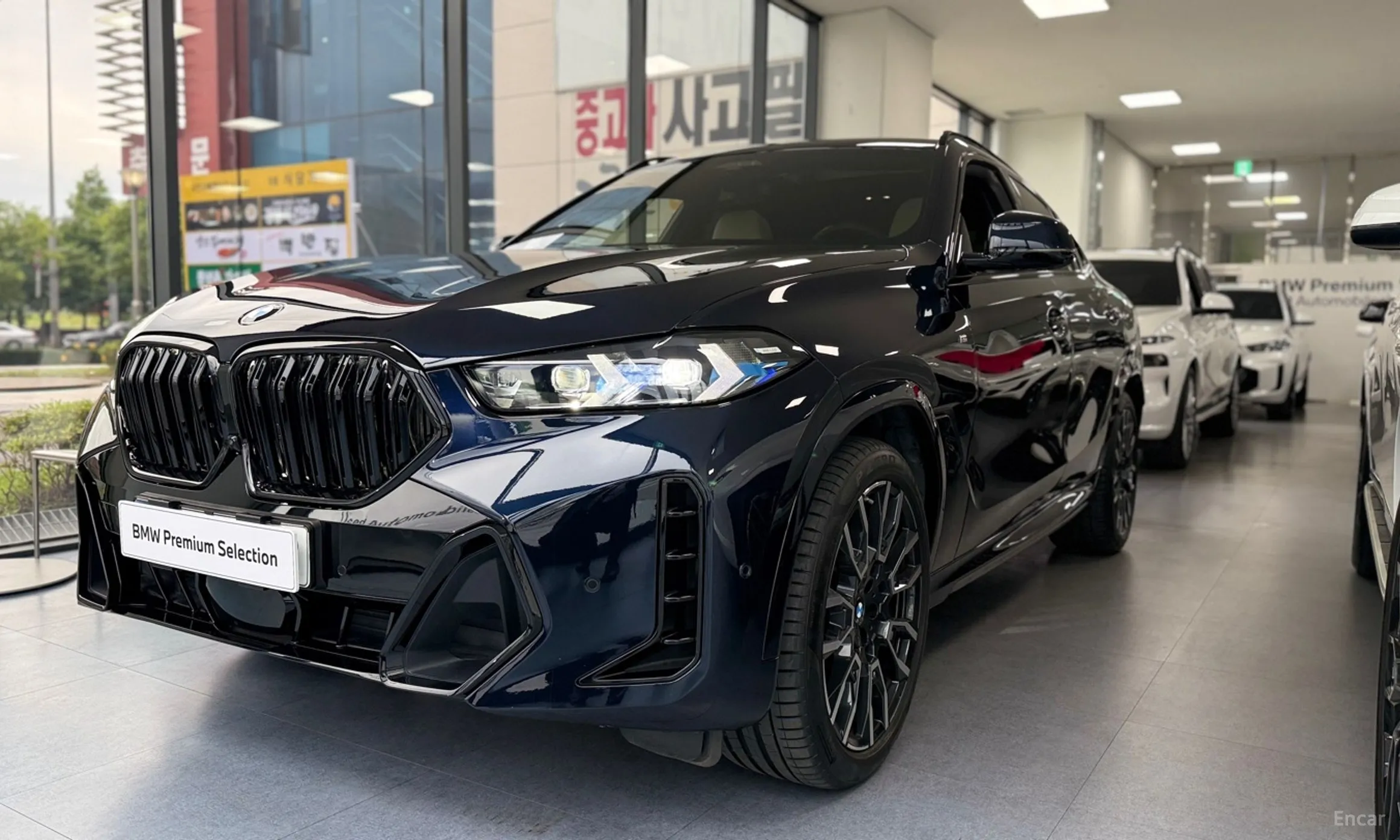 BMW X6 (G06)