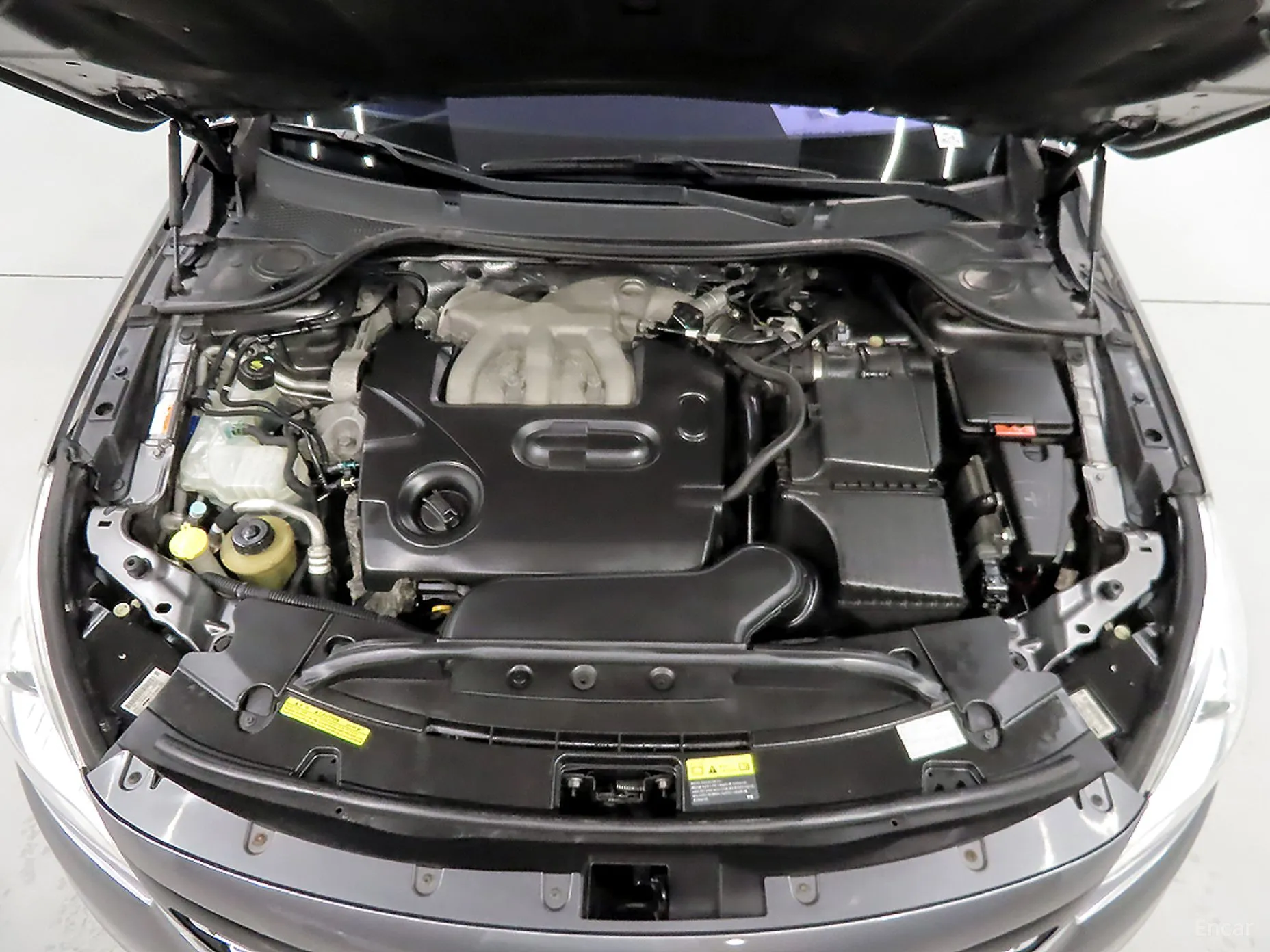 Renault Korea (Samsung) SM7 превью 6