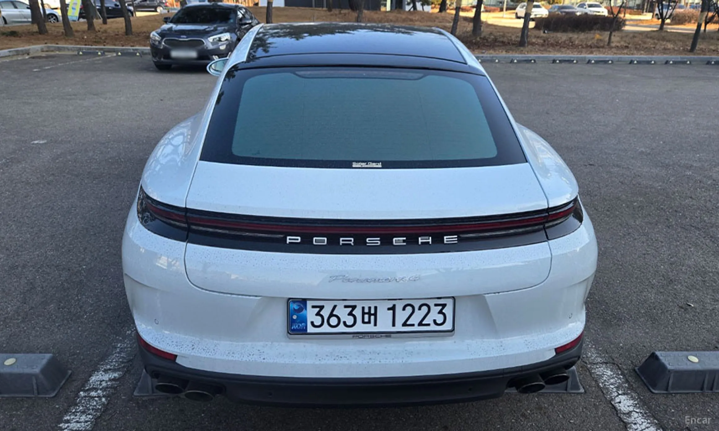 Porsche Panamera (976) превью 6