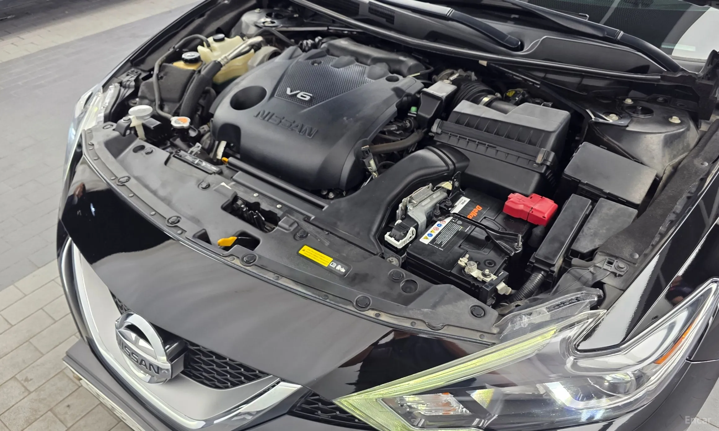 Nissan Maxima (A36) превью 6