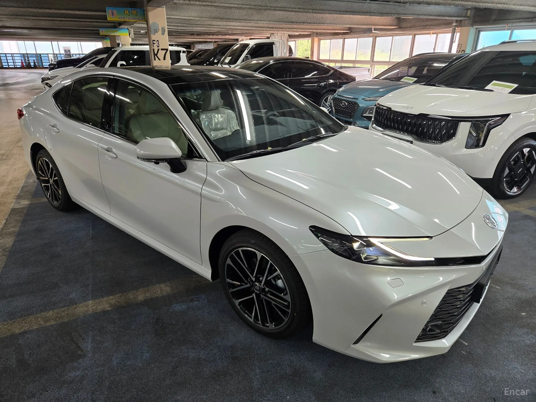 Toyota Camry (XV80)