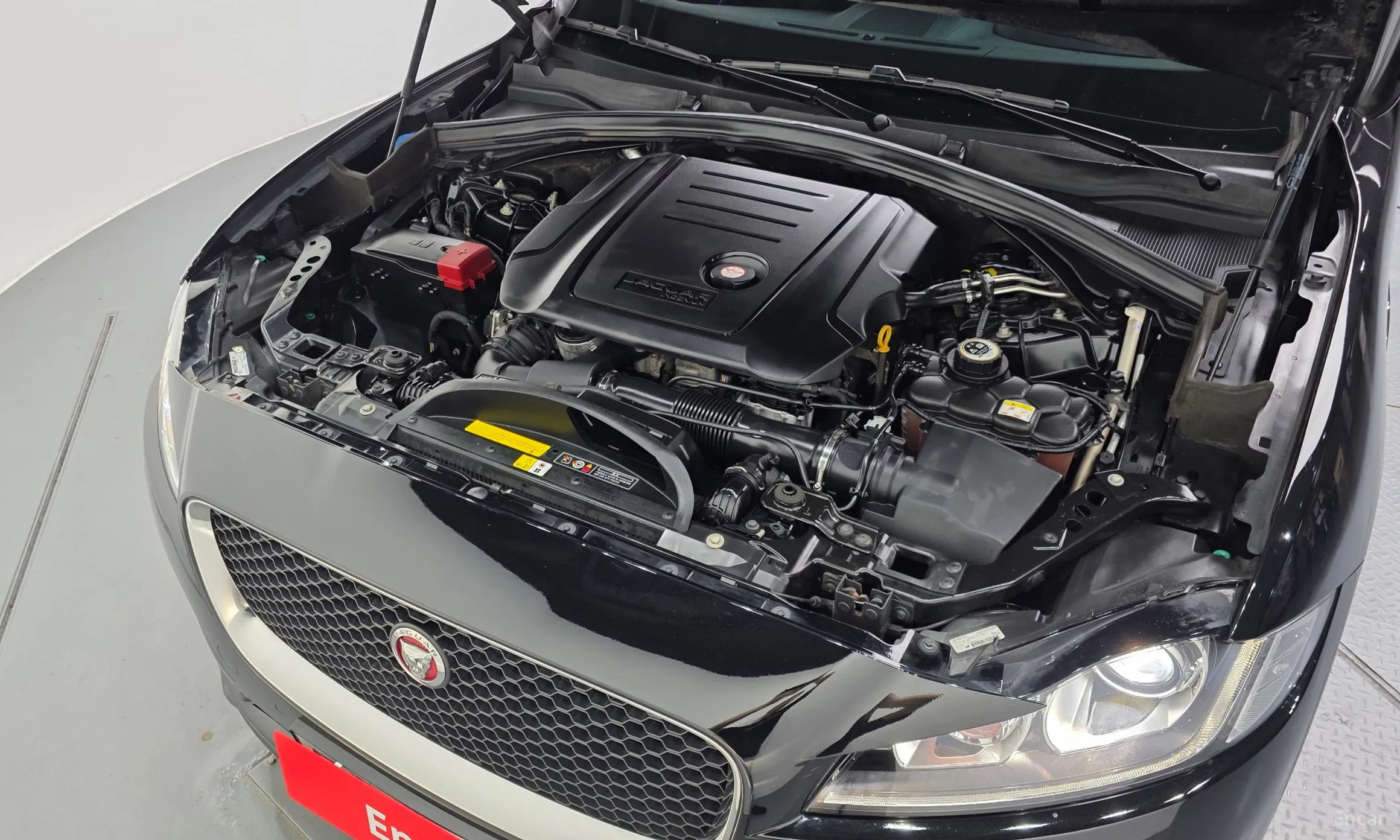 Jaguar F-PACE превью 6