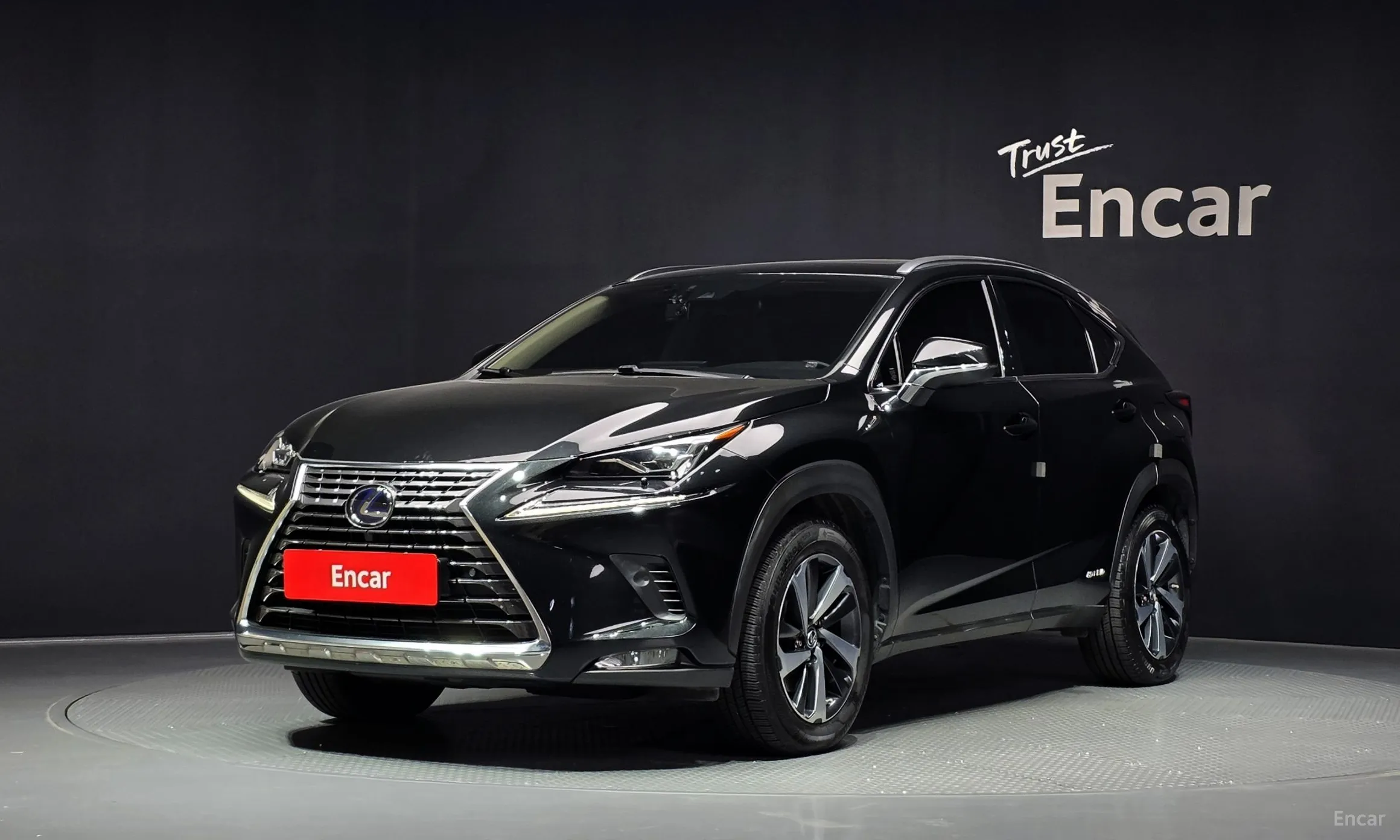 Lexus NX300h