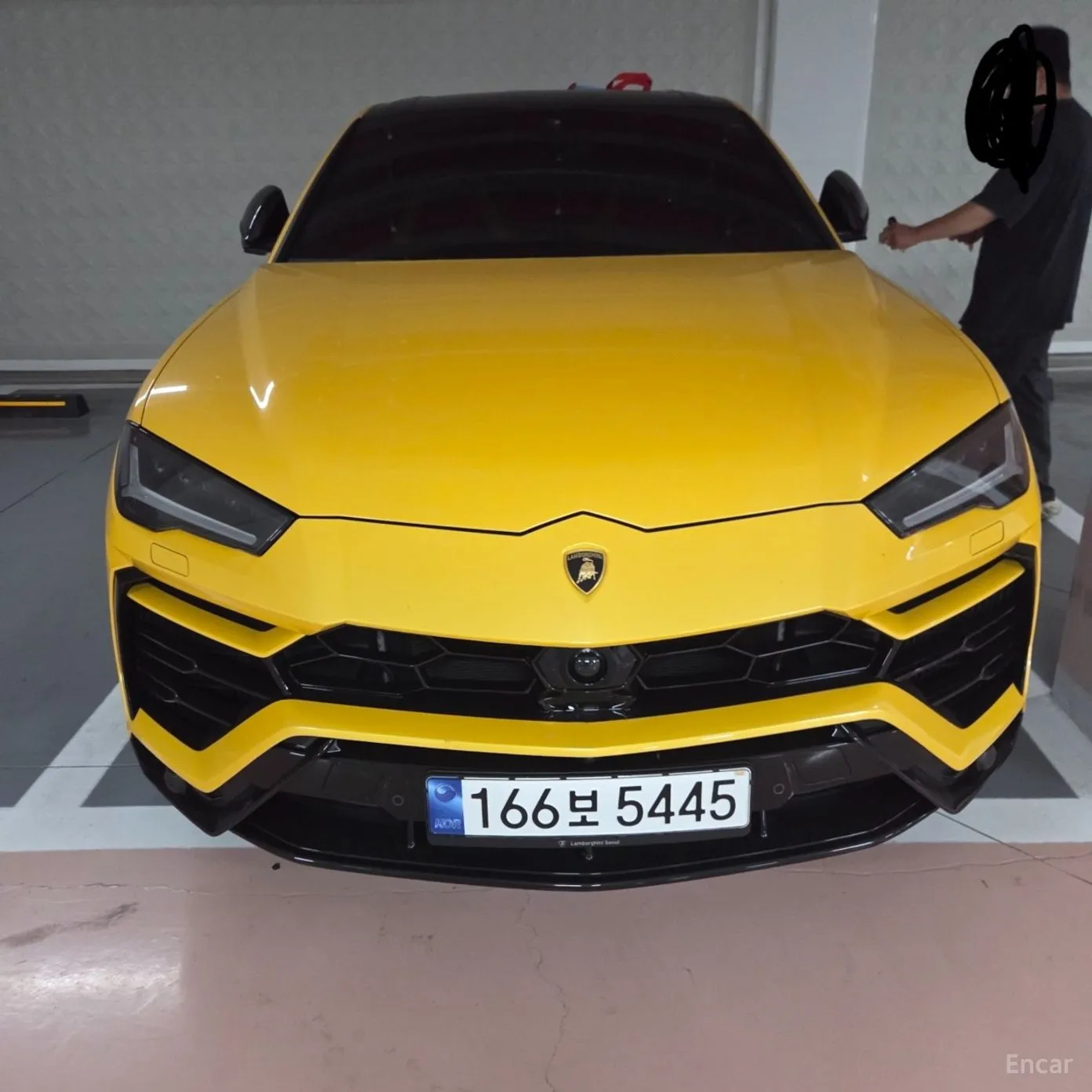 Urus