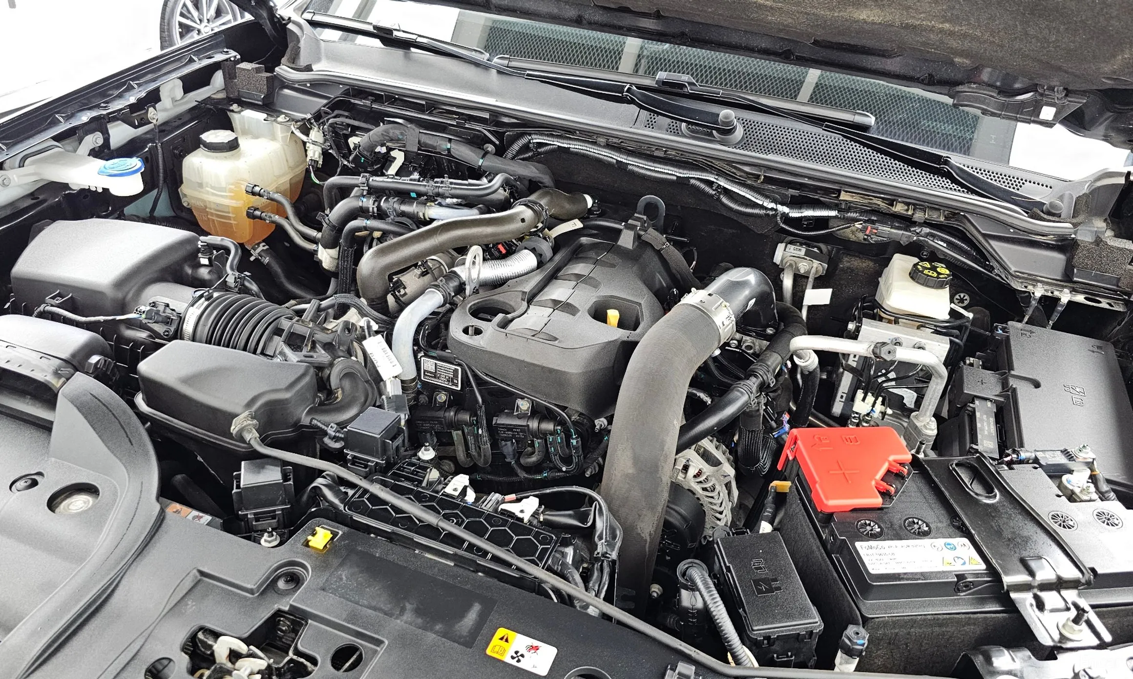 Ford Ranger 4th Generation превью 6