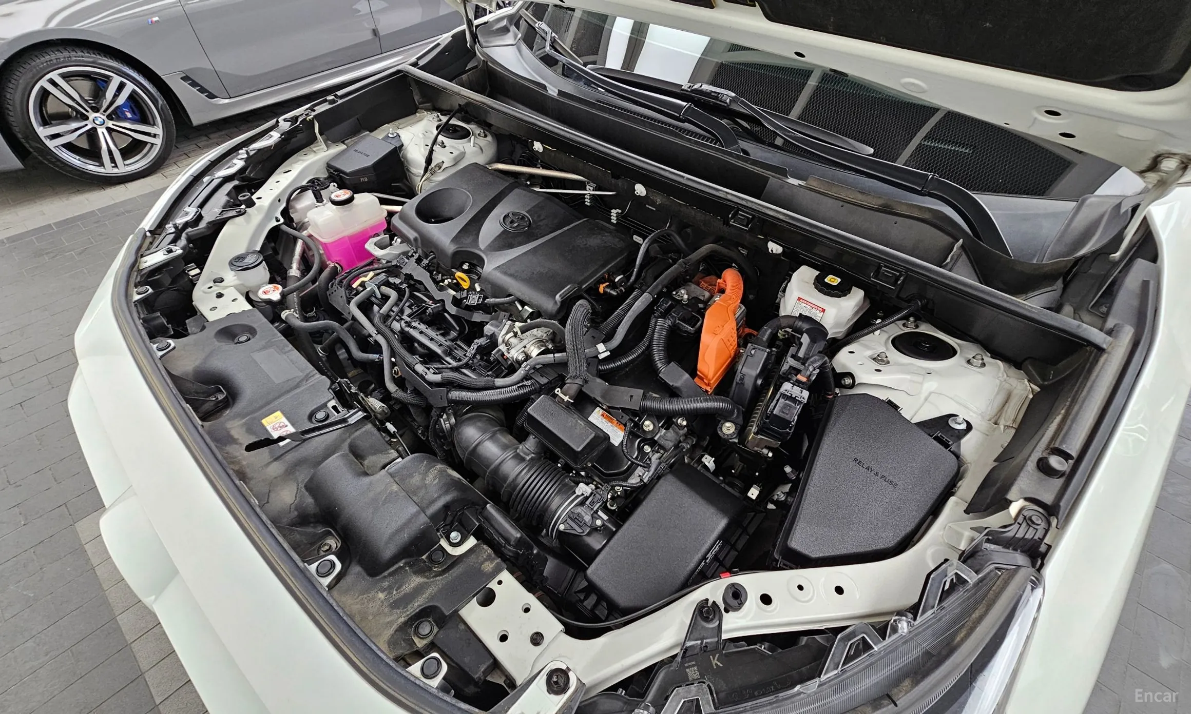 Toyota RAV4 5th Generation превью 6