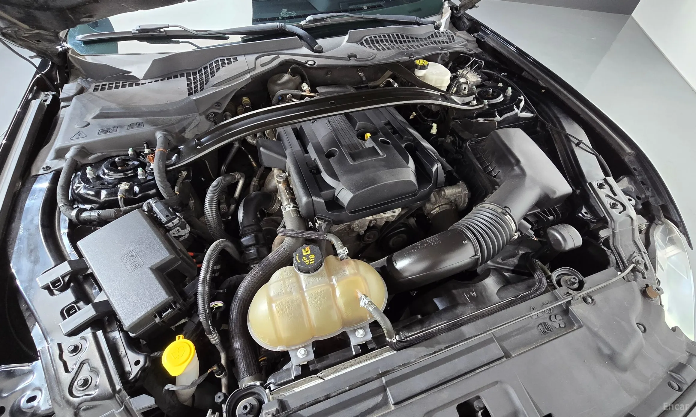 Ford Mustang превью 6