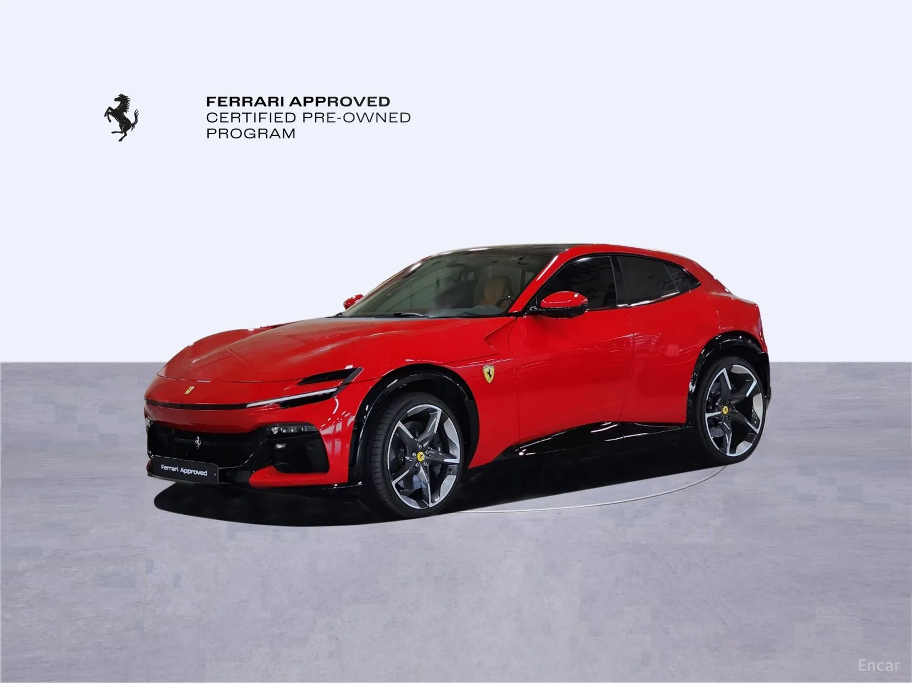 Ferrari Puro Sange превью 10
