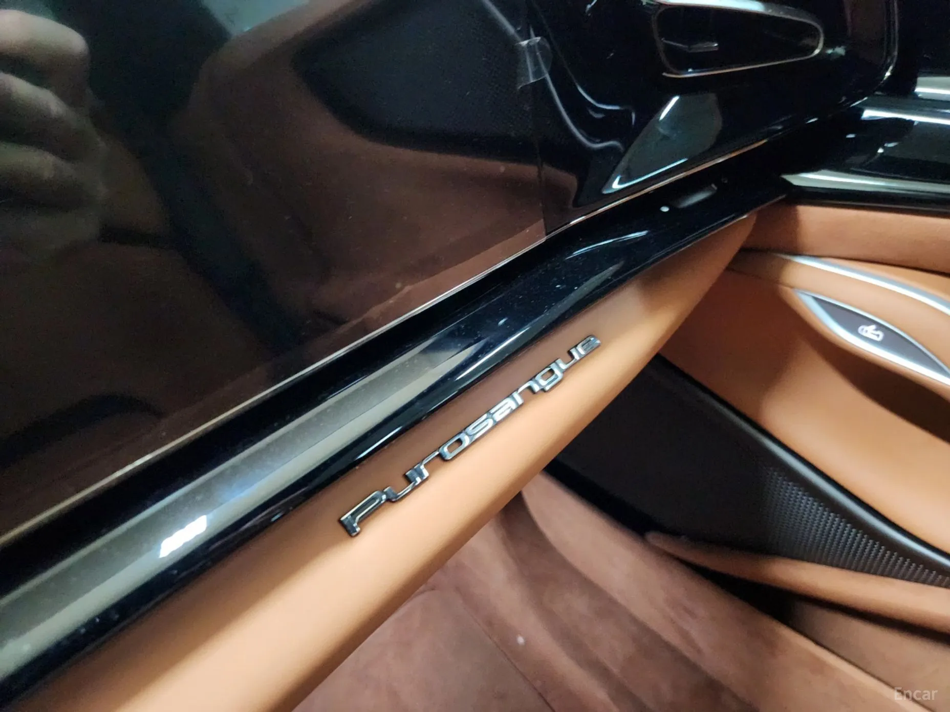 Ferrari Puro Sange превью 15