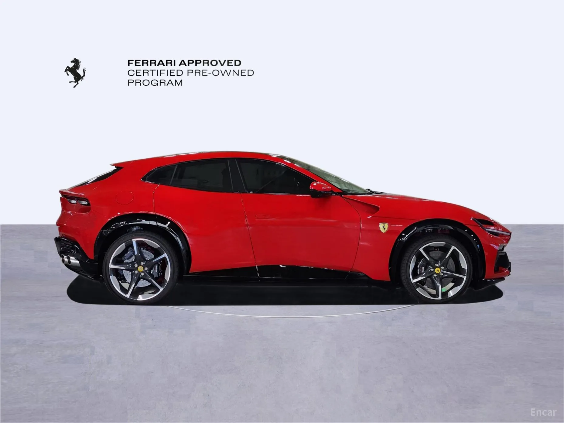 Ferrari Puro Sange превью 6