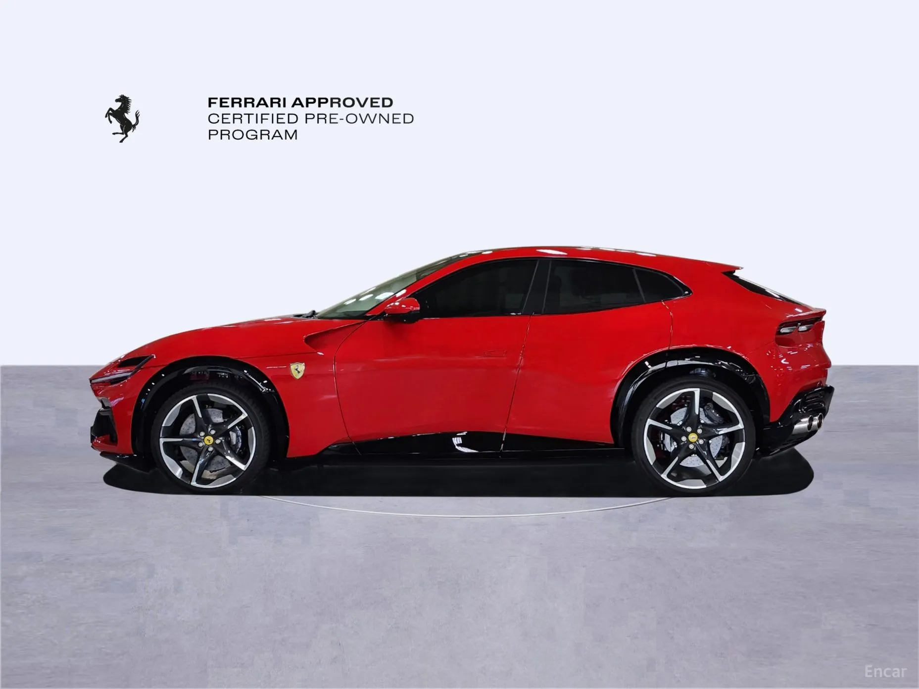 Ferrari Puro Sange превью 8