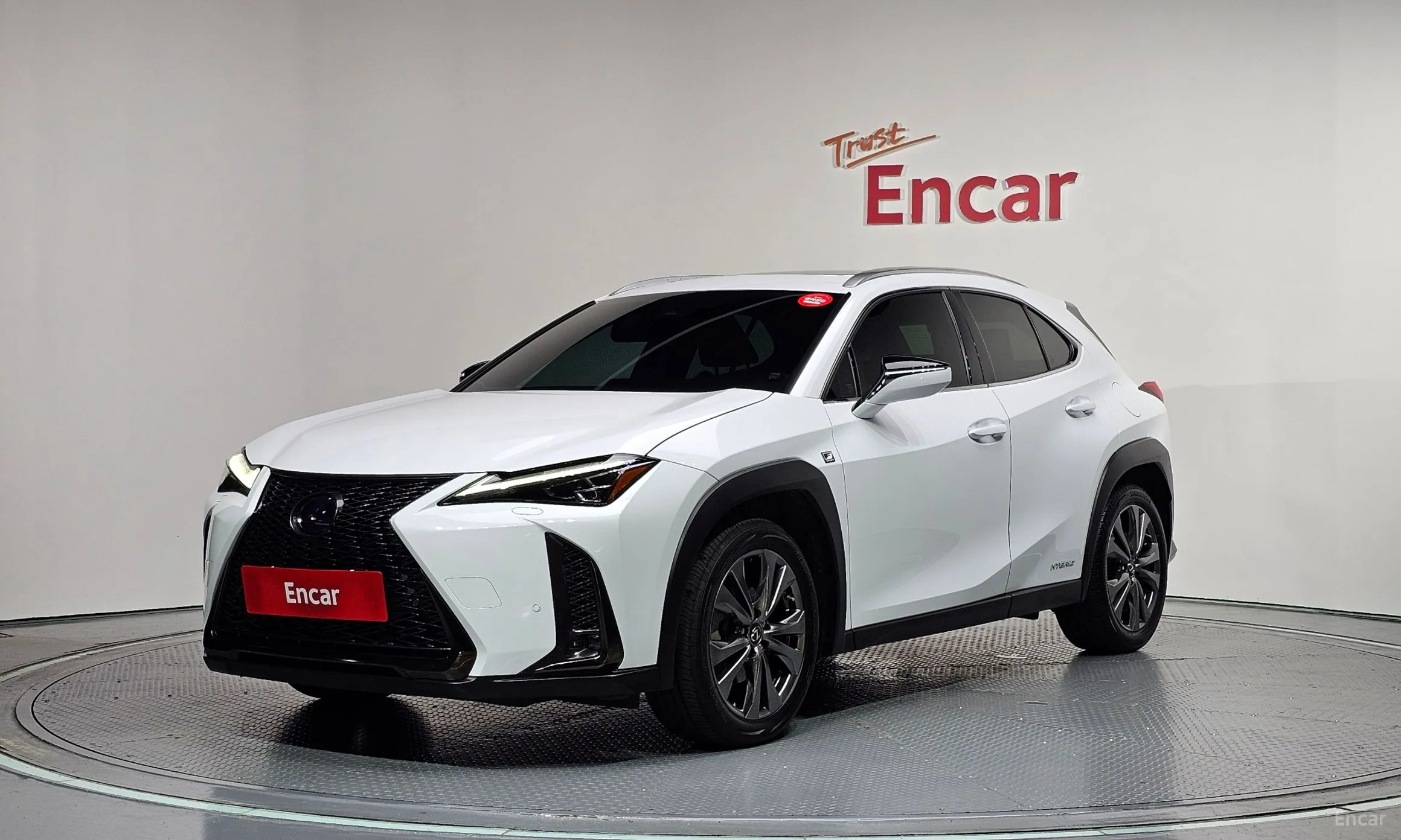 Lexus UX250h