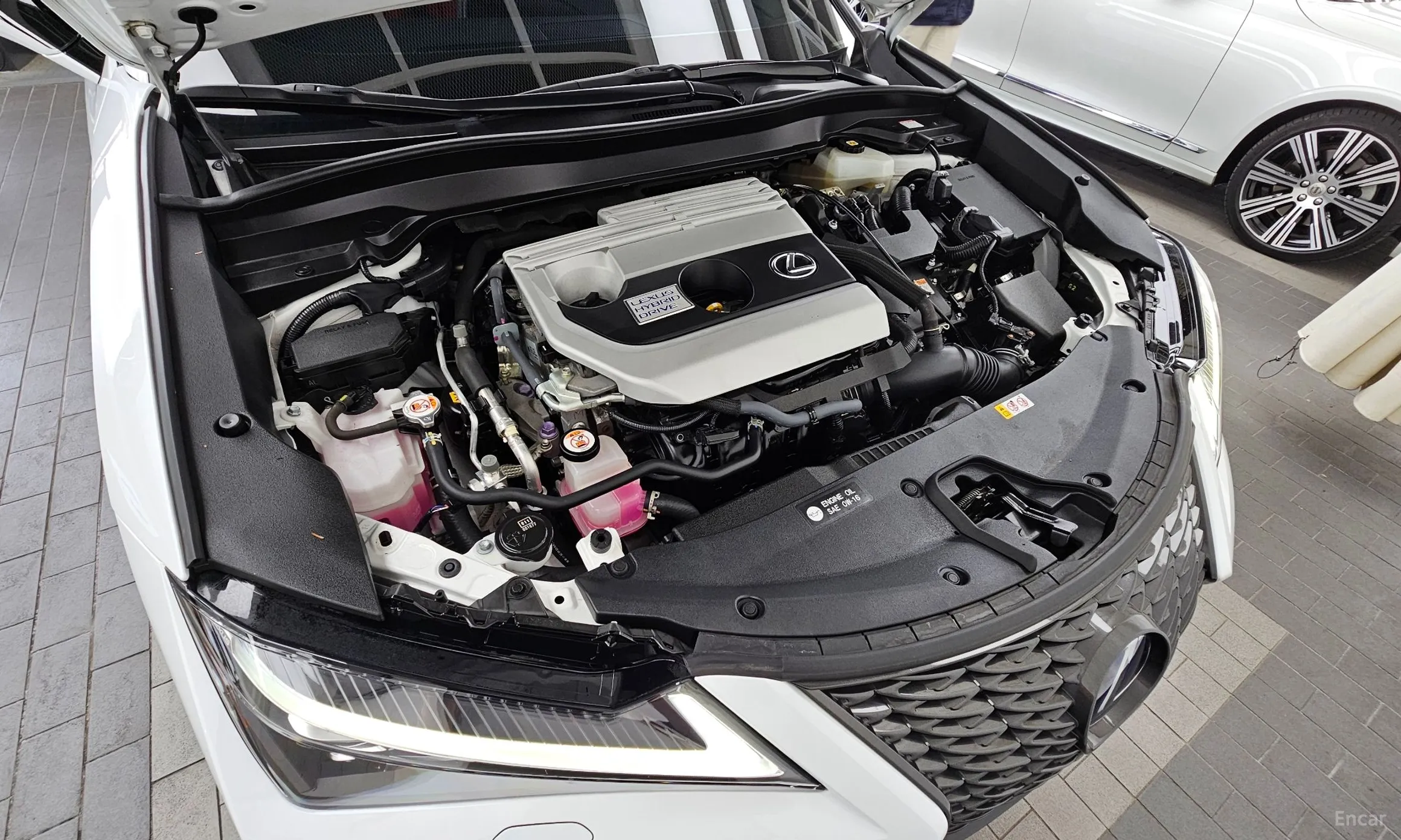 Lexus UX250h превью 6