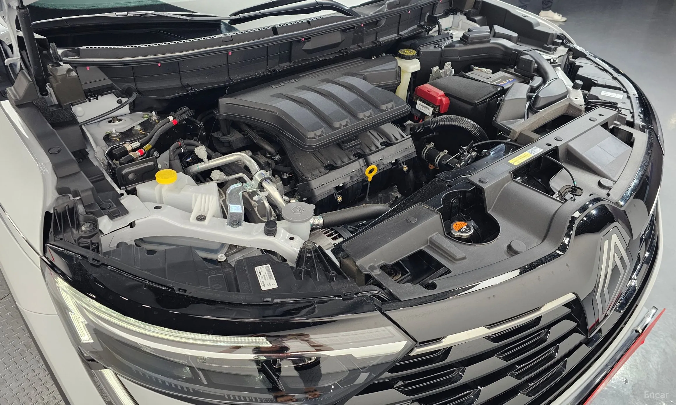 Renault Korea (Samsung) QM6 превью 6