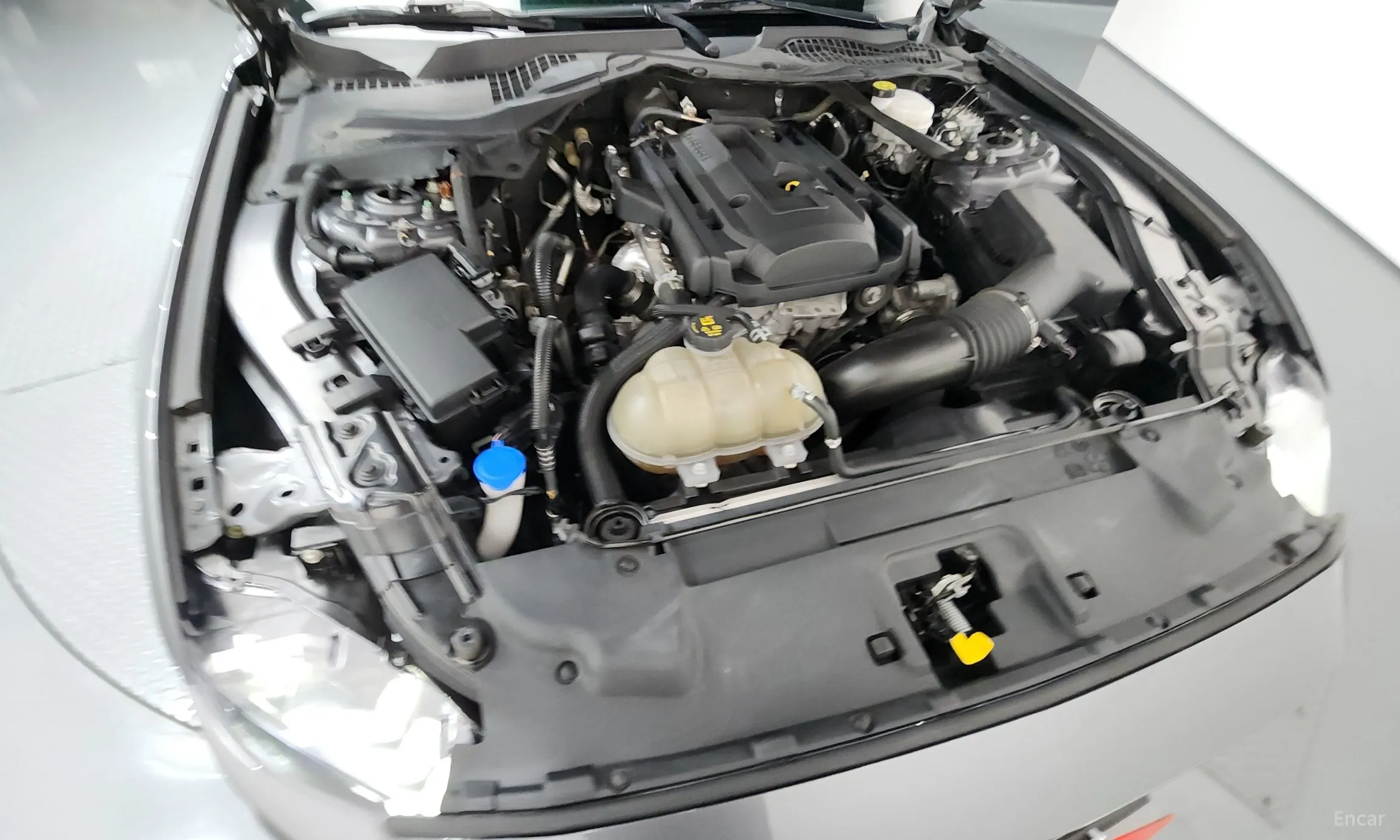 Ford Mustang превью 6