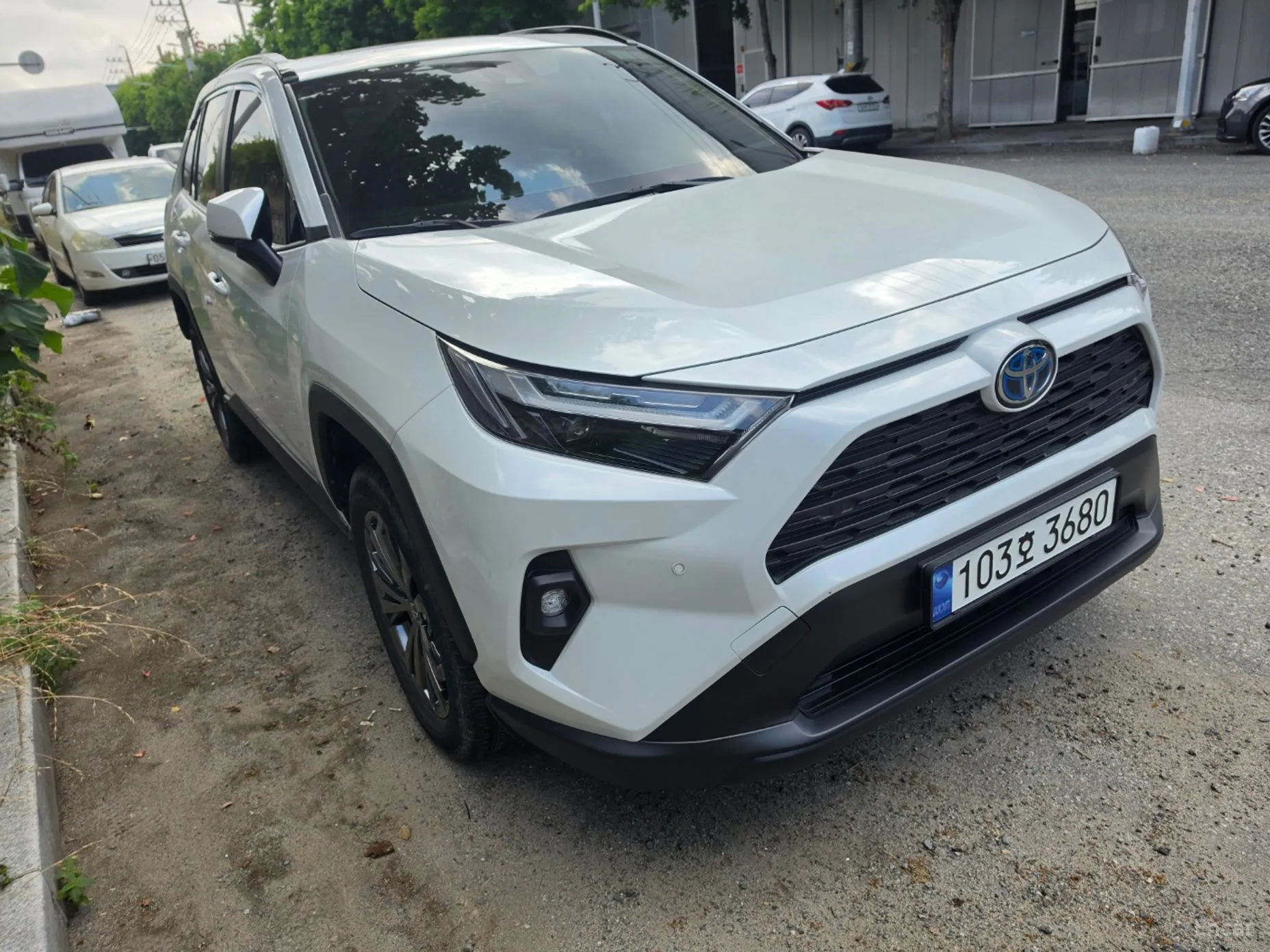RAV4 5th Generation