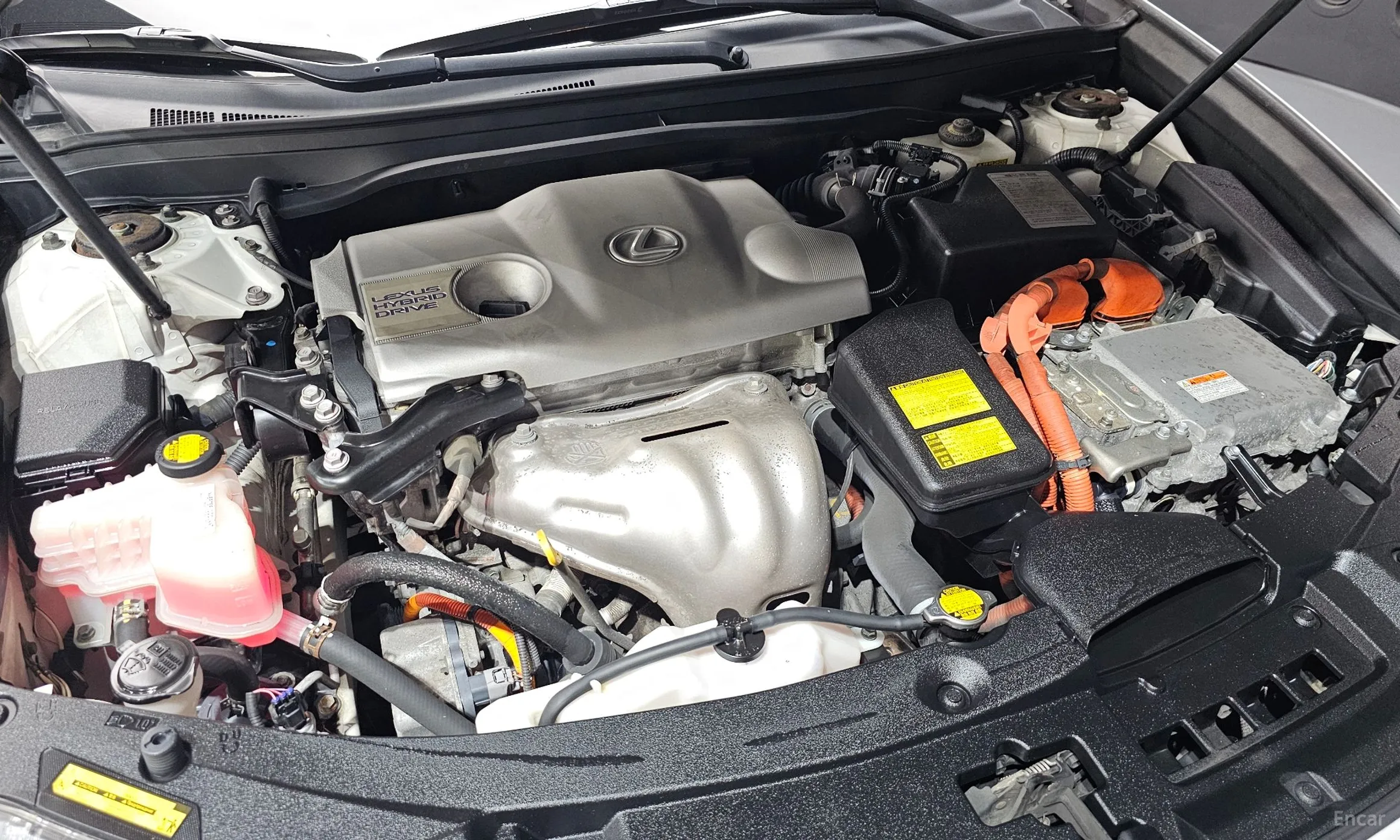 Lexus New ES300h превью 6