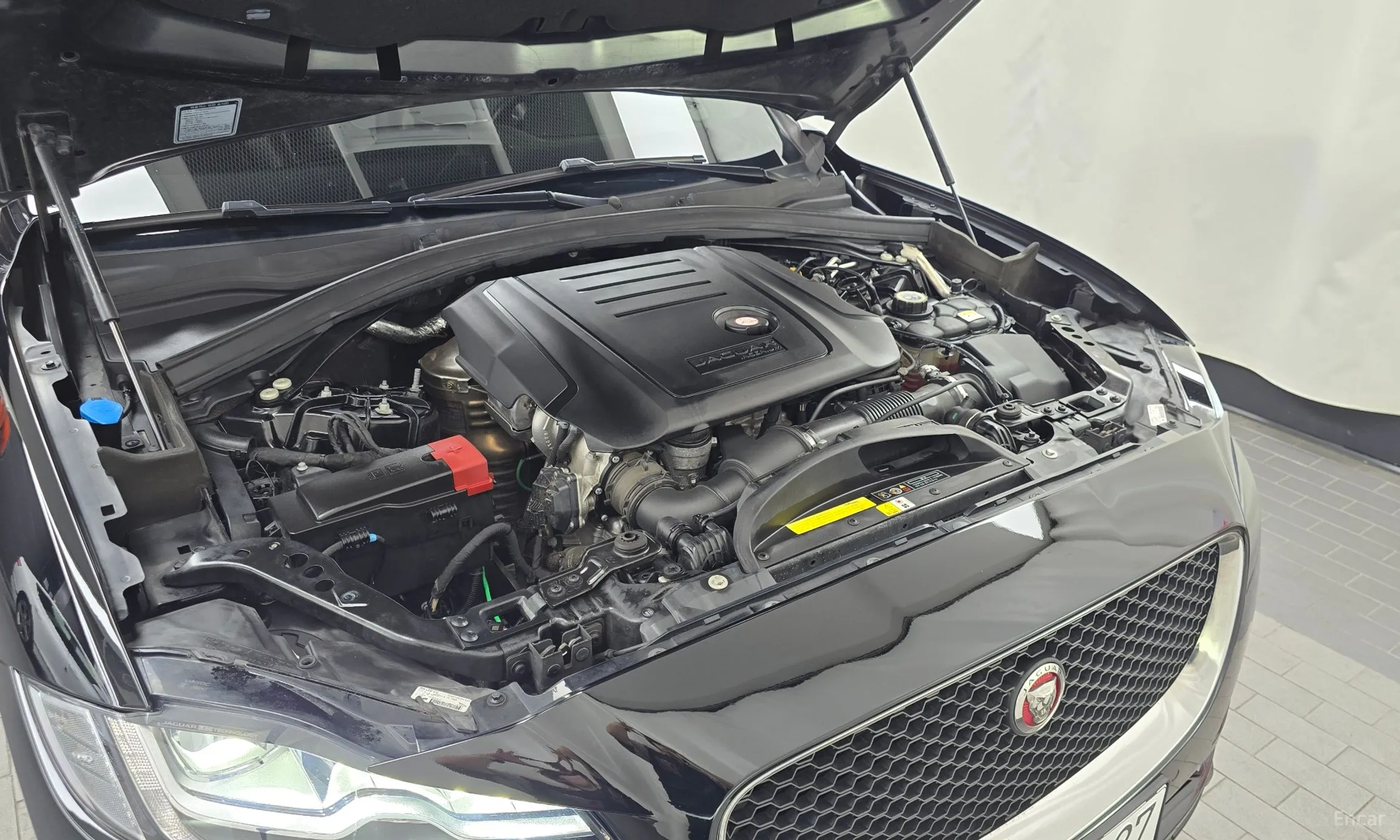 Jaguar F-PACE превью 6