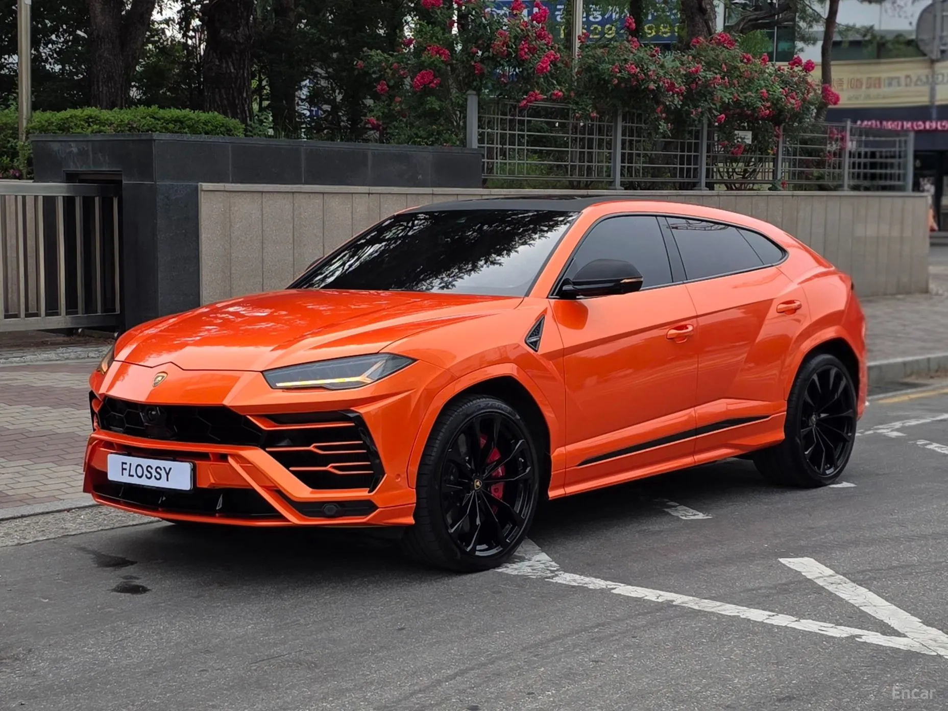Urus