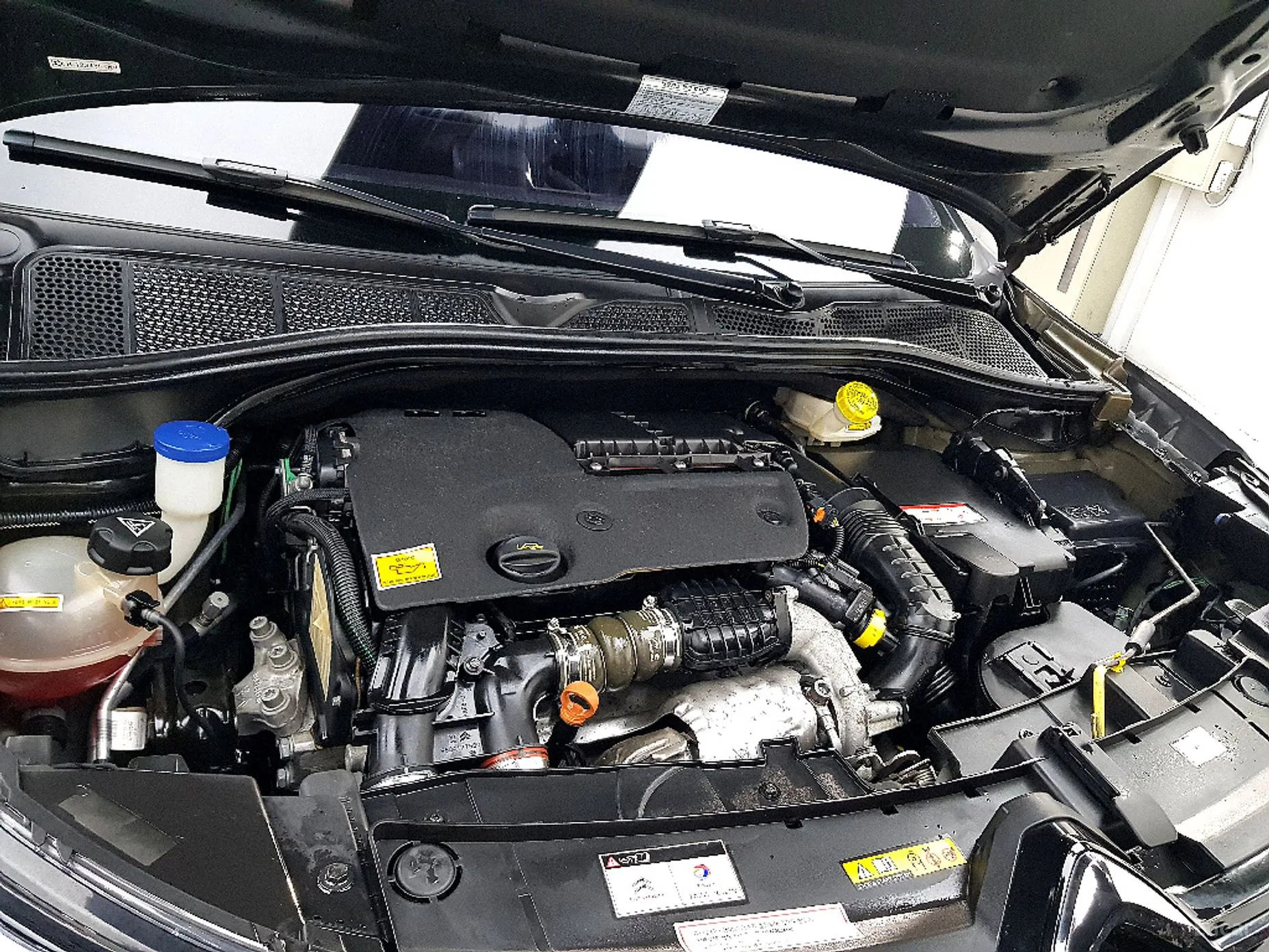 Citroën/DS C4 Cocktooth превью 6