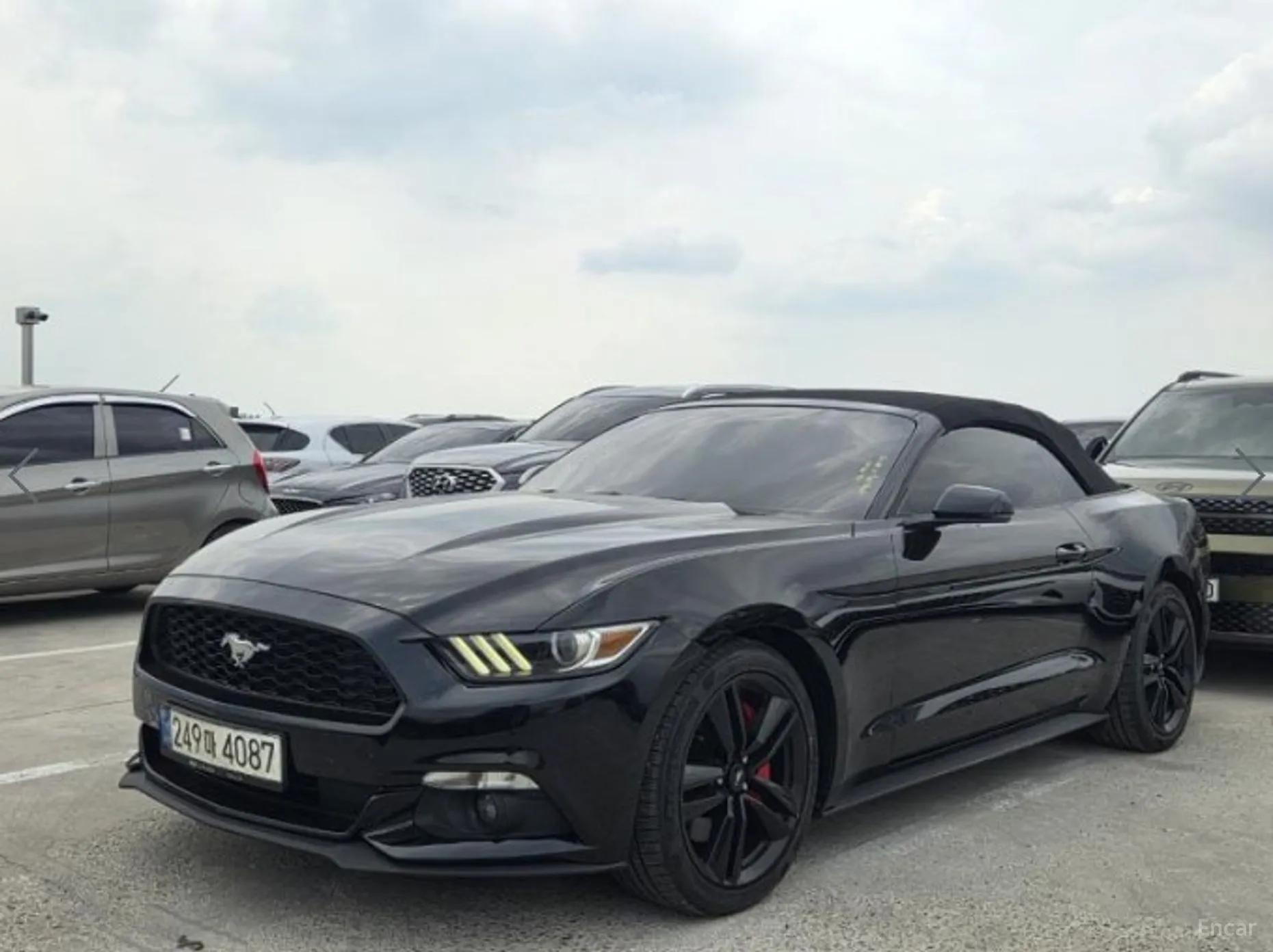 Mustang
