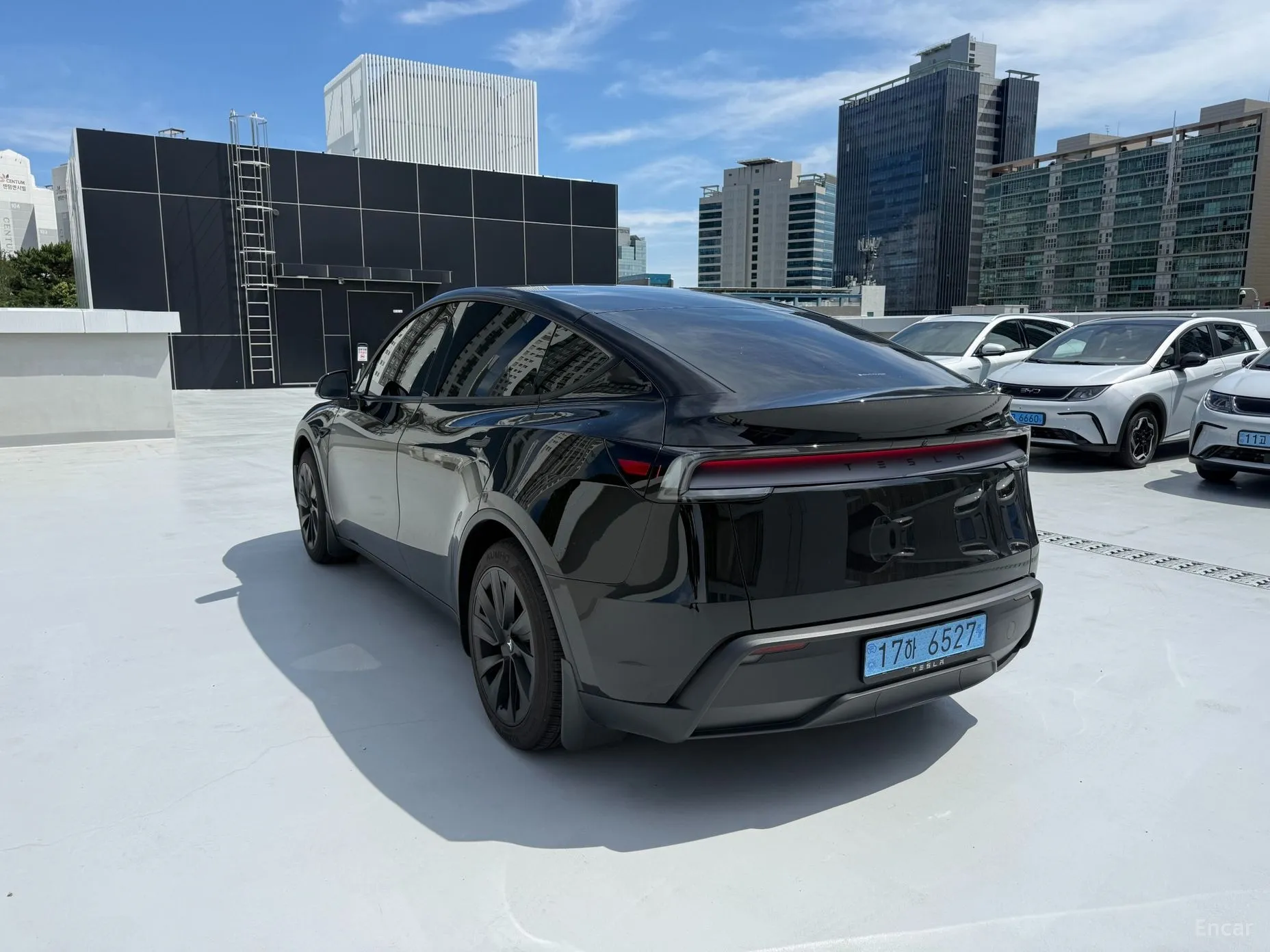 Tesla Model Y превью 5