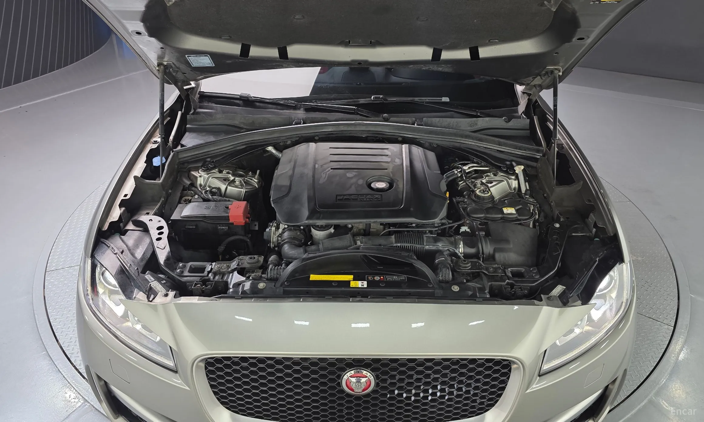 Jaguar F-PACE превью 6