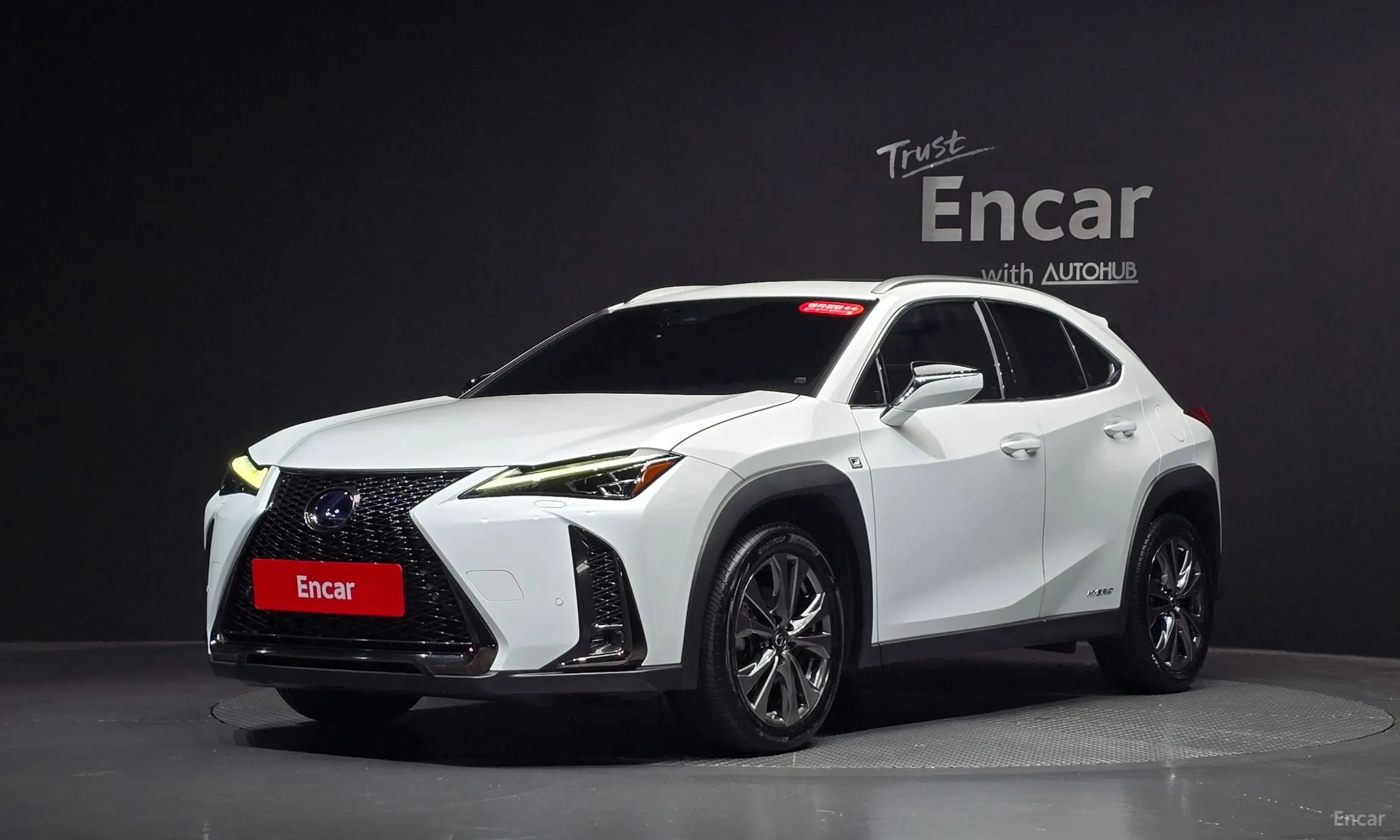 Lexus UX250h