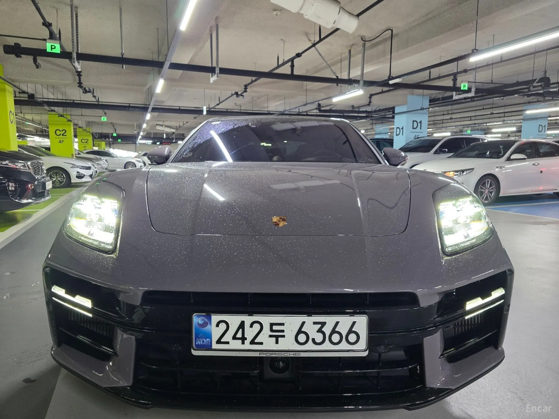 Panamera (976)
