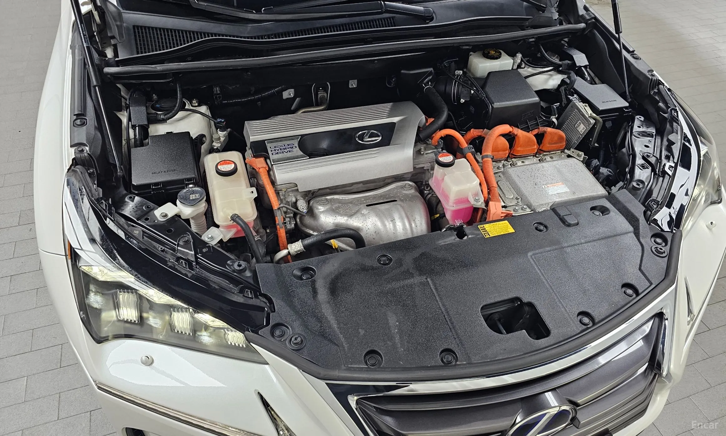Lexus NX300h превью 6
