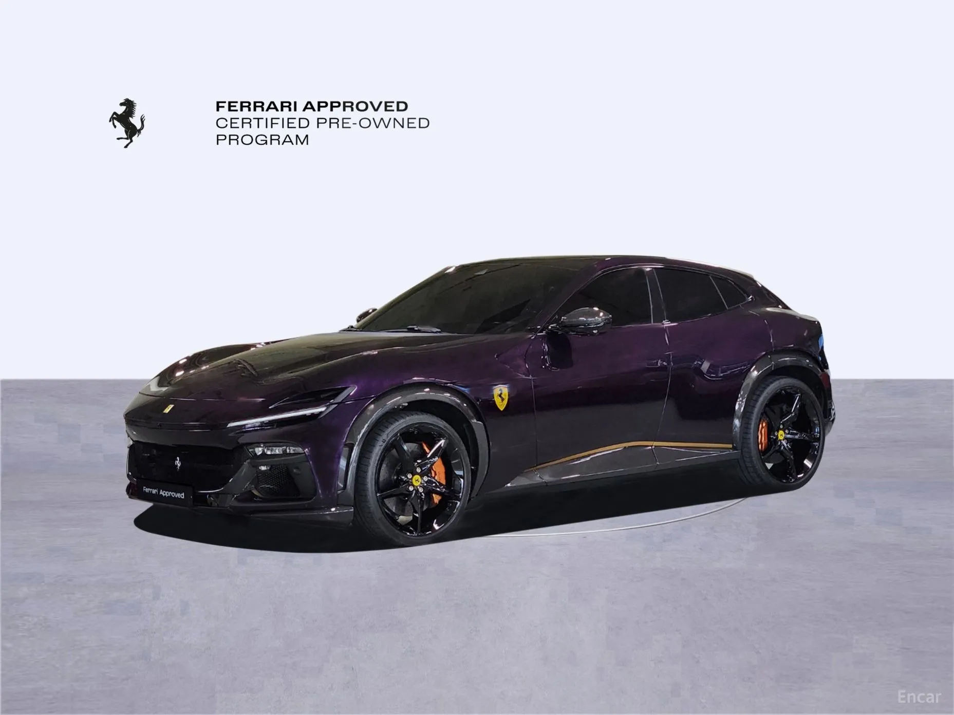 Ferrari Puro Sange превью 10