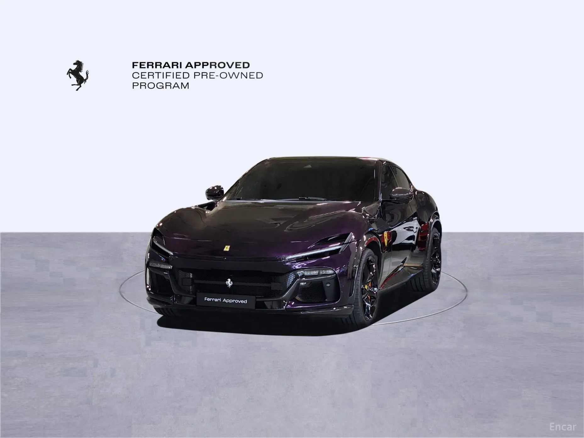 Ferrari Puro Sange превью 11
