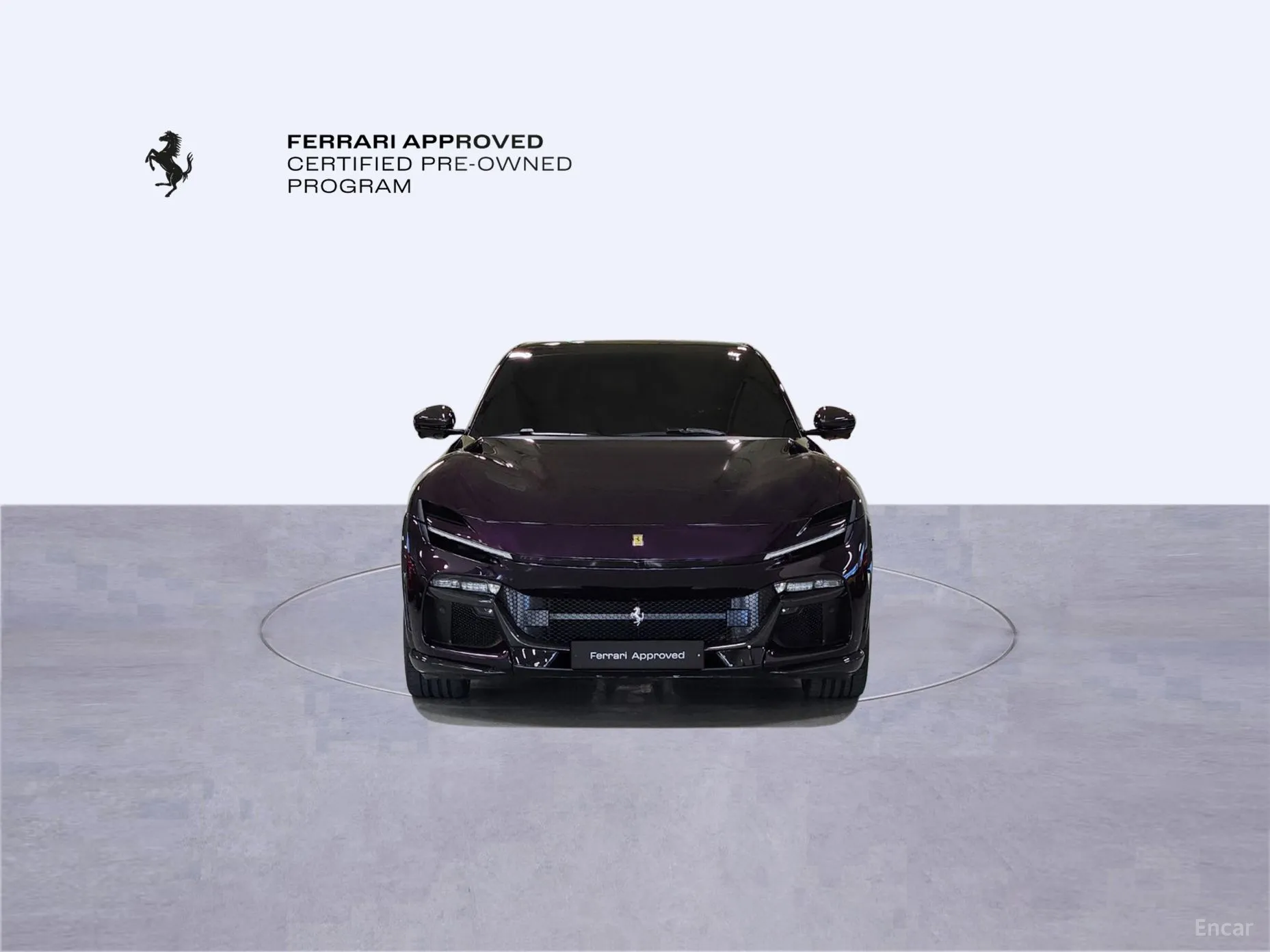 Ferrari Puro Sange