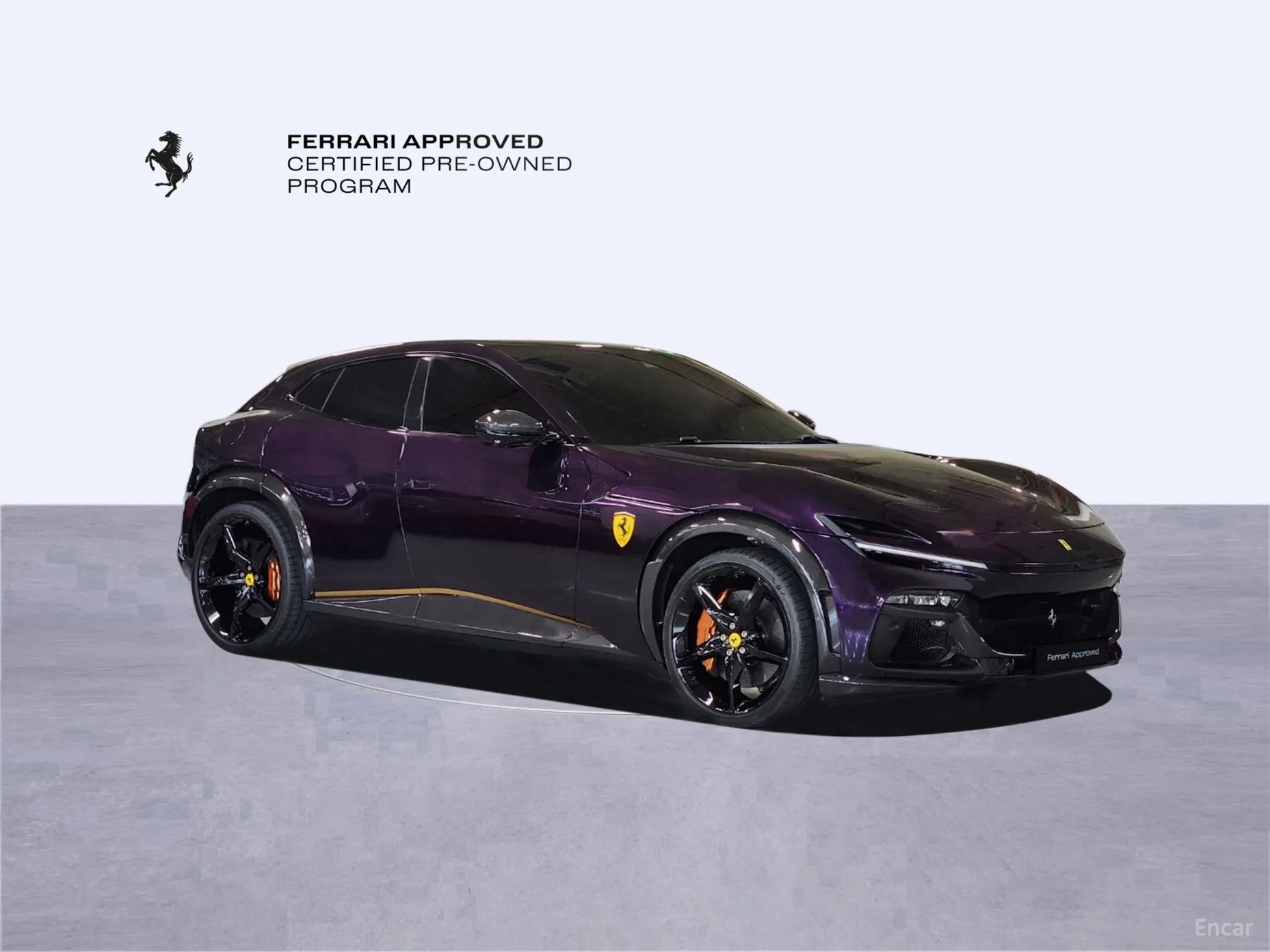 Ferrari Puro Sange превью 4