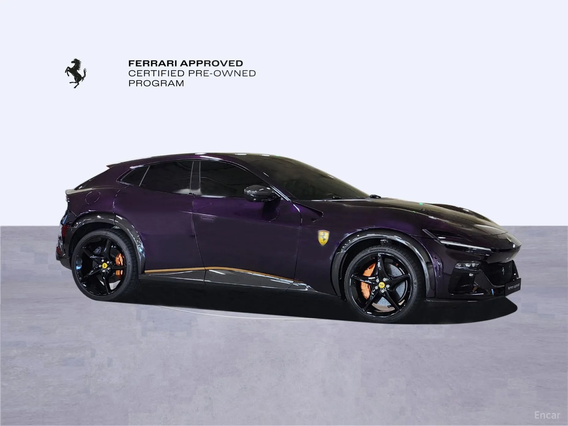 Ferrari Puro Sange превью 5