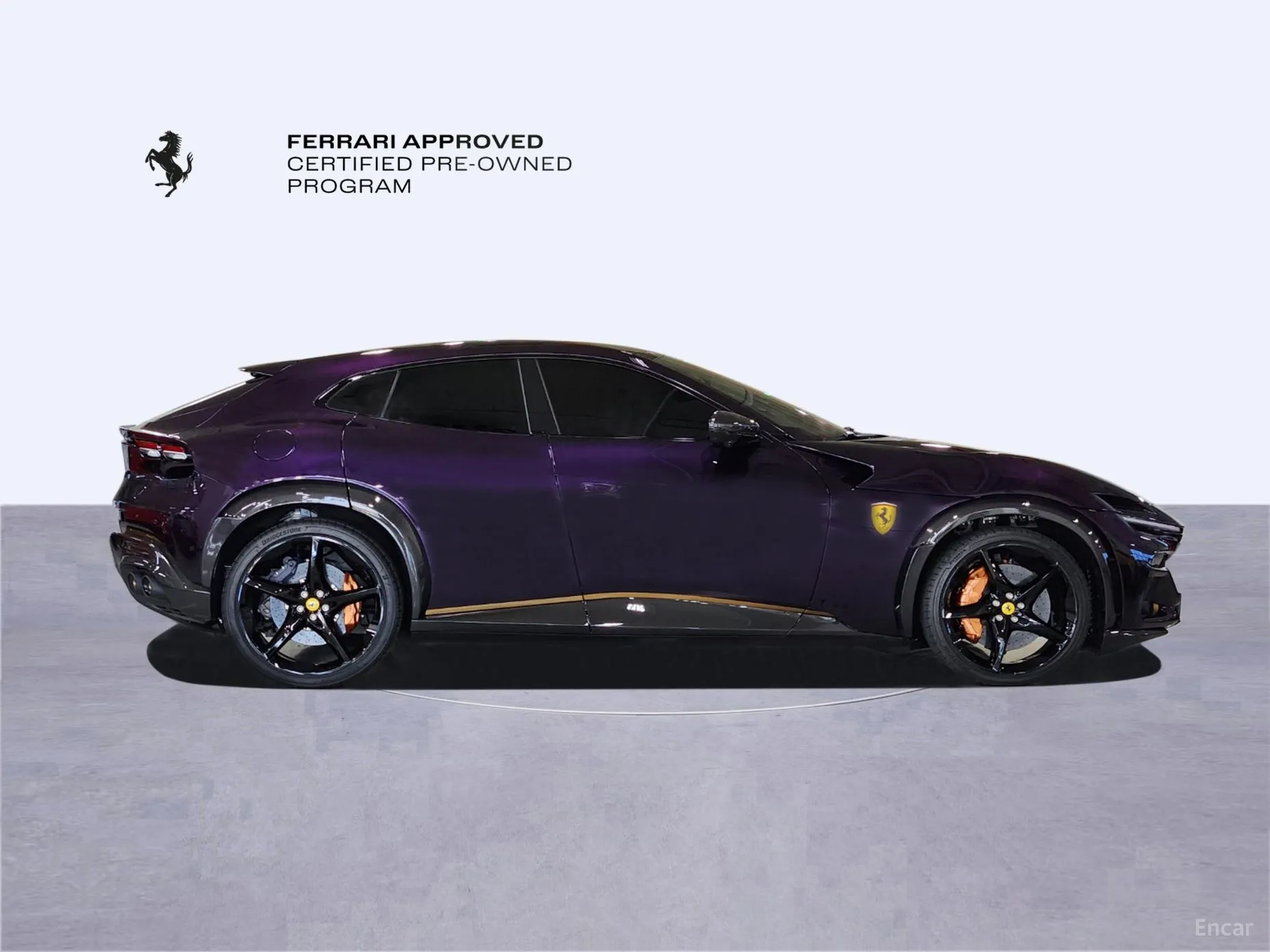 Ferrari Puro Sange превью 6