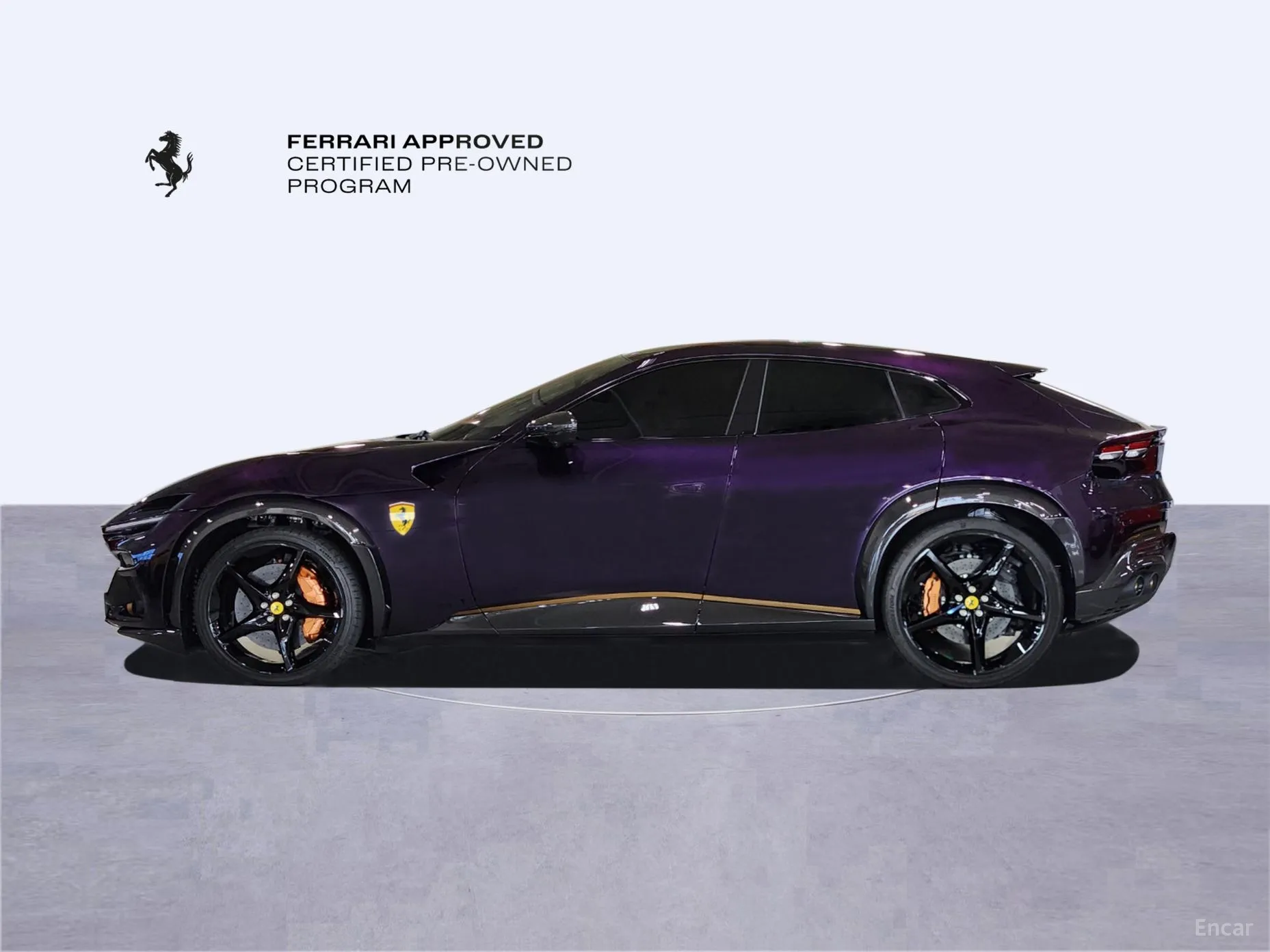 Ferrari Puro Sange превью 8