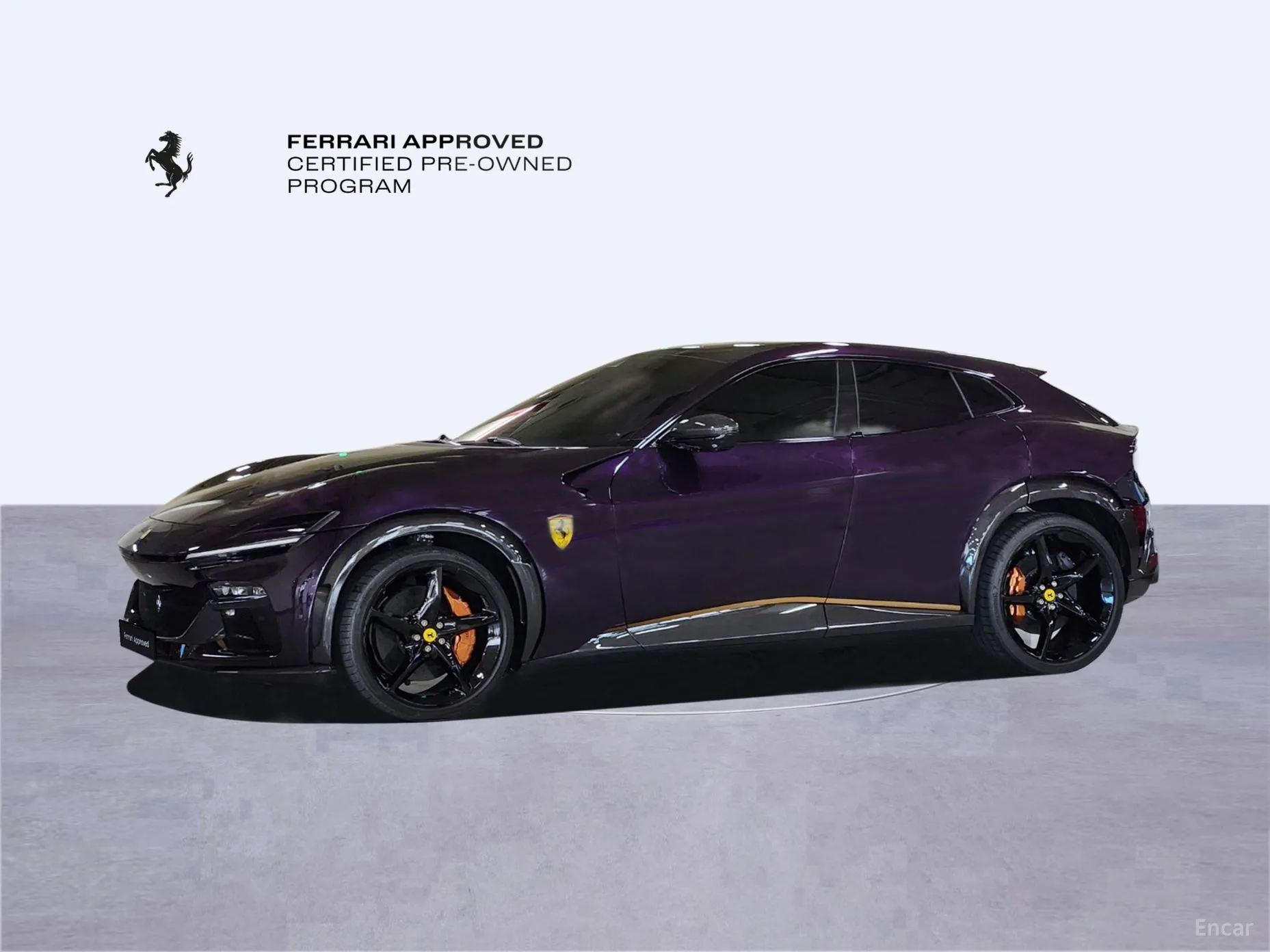Ferrari Puro Sange превью 9