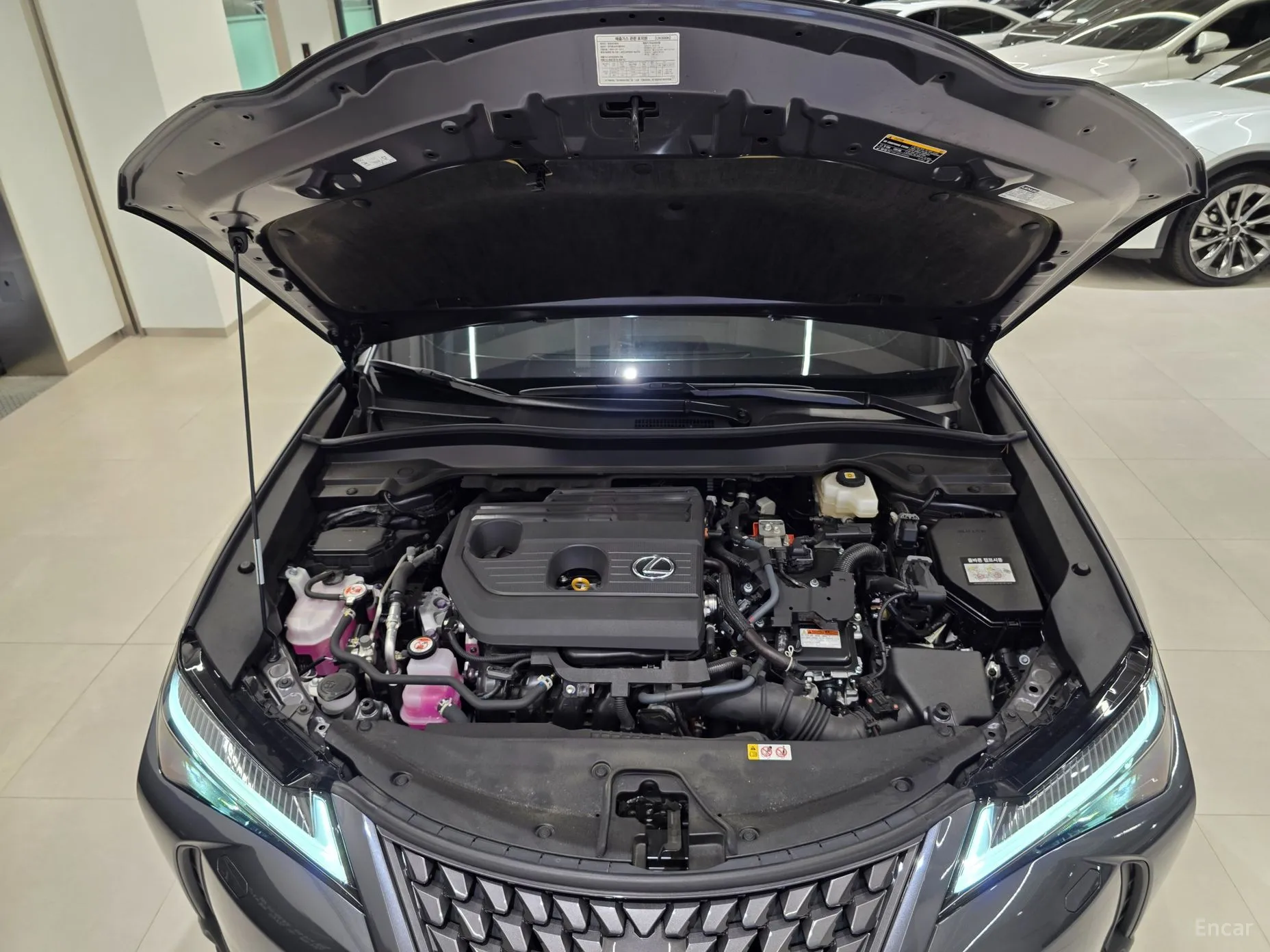 Lexus UX300h превью 6