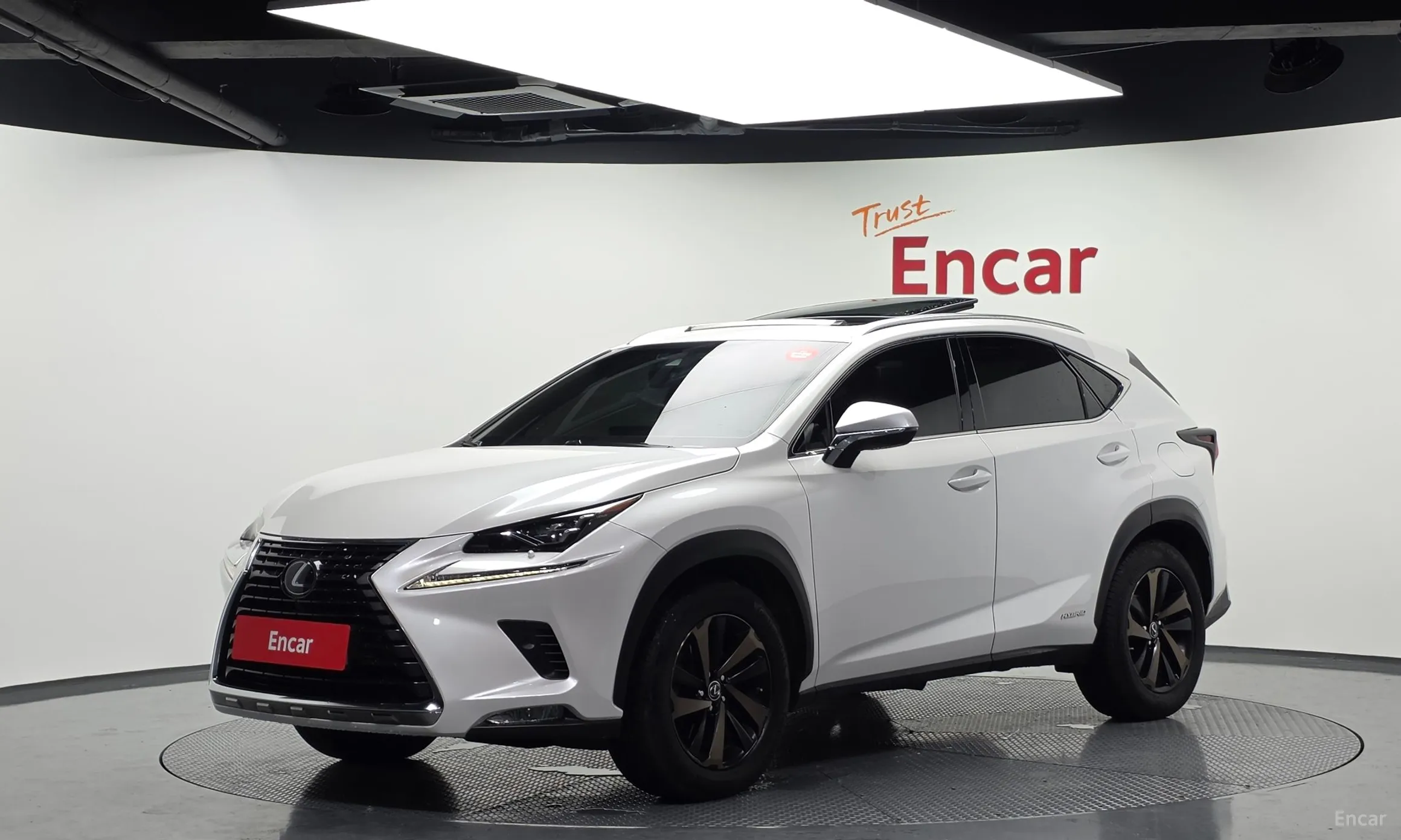 Lexus NX300h