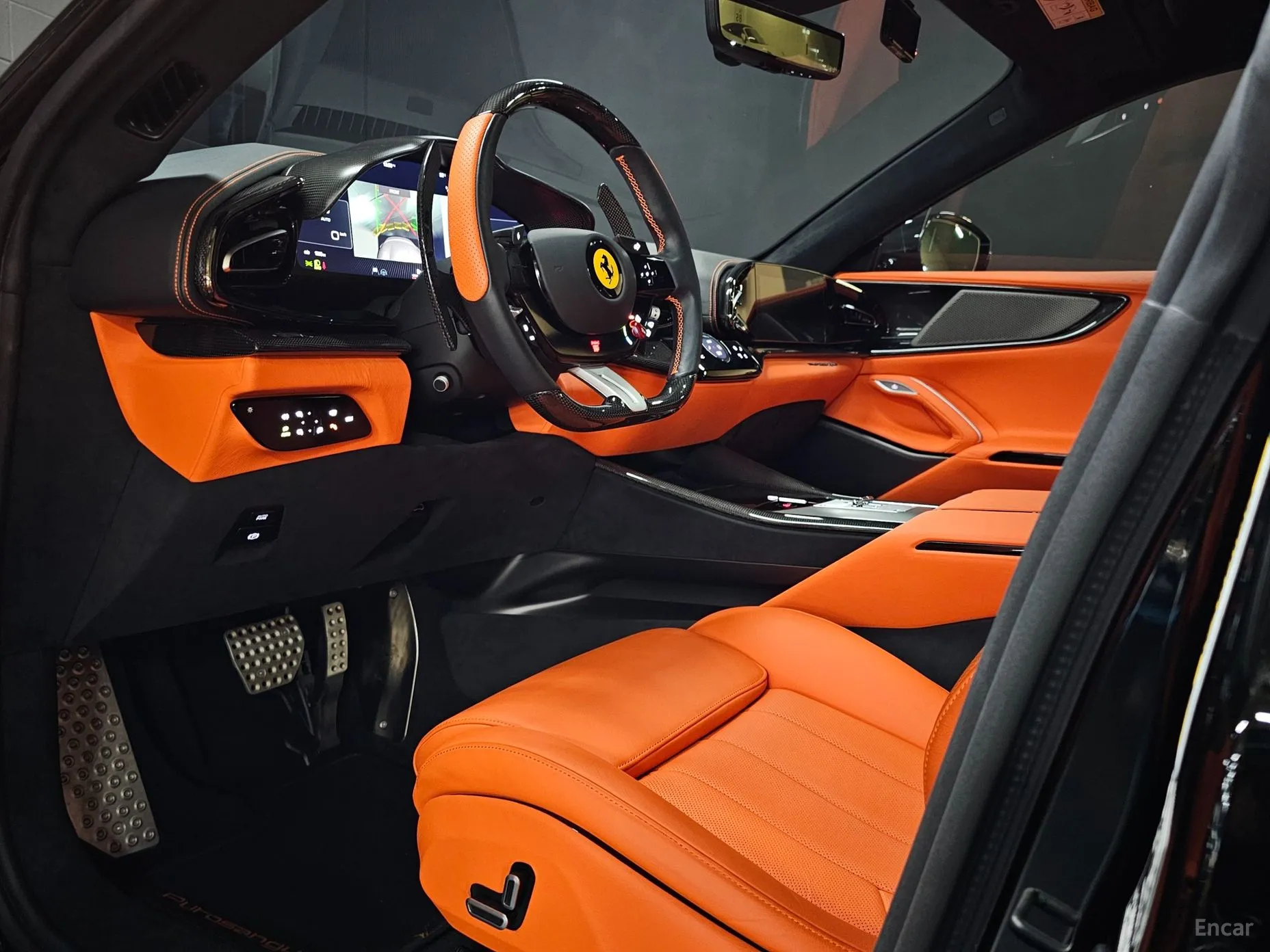 Ferrari Puro Sange превью 14