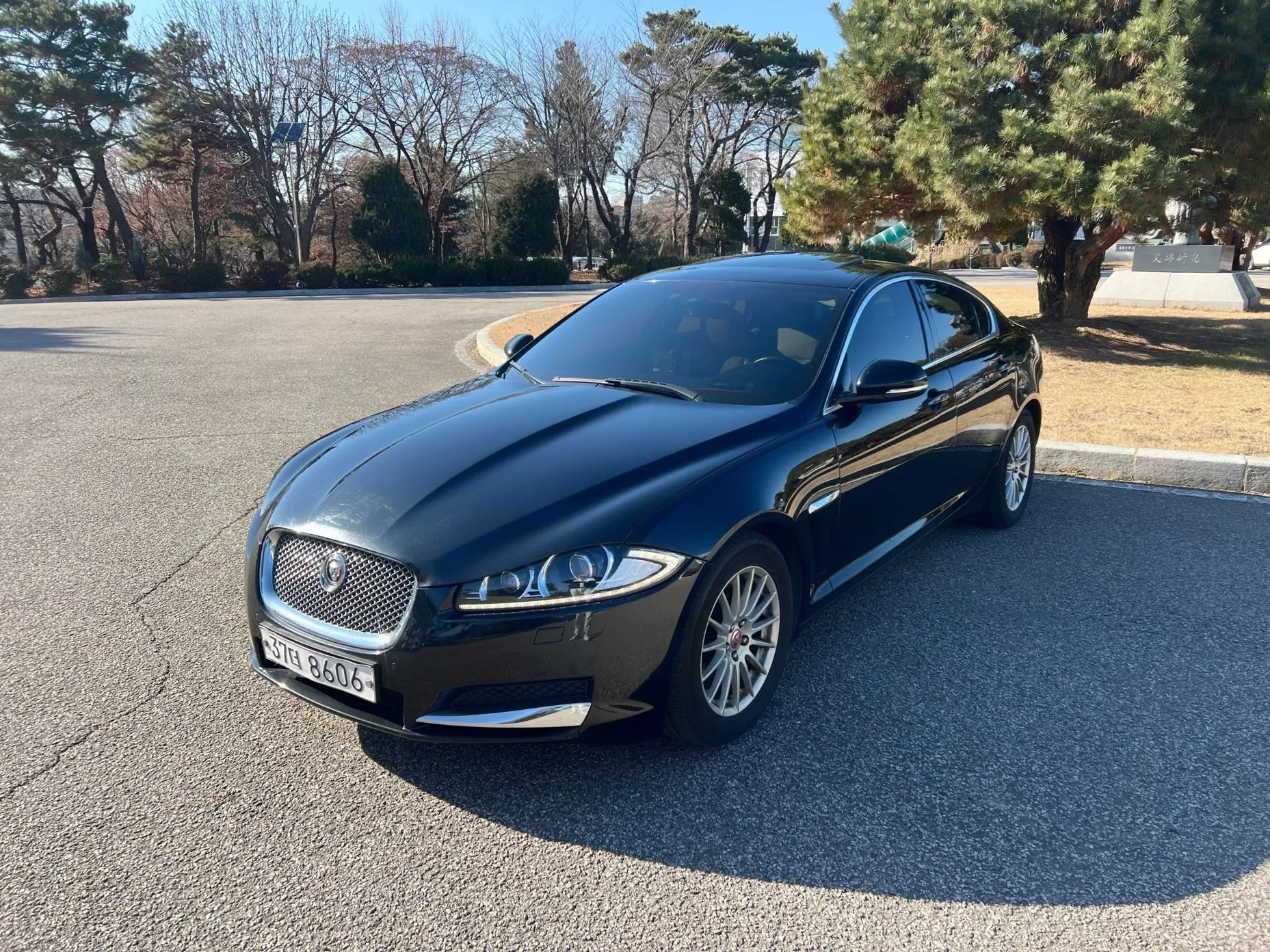 Jaguar New XF