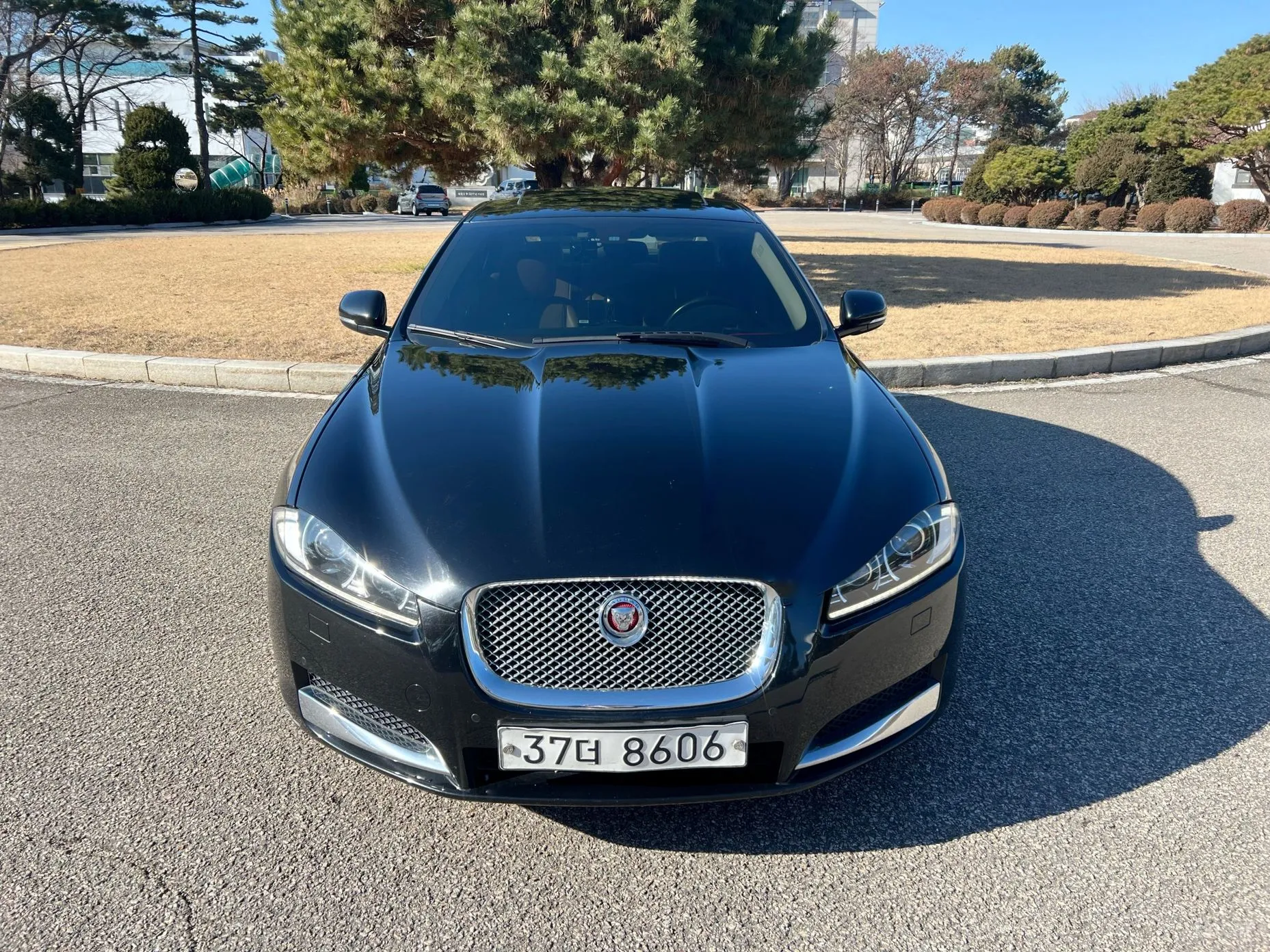 Jaguar New XF
