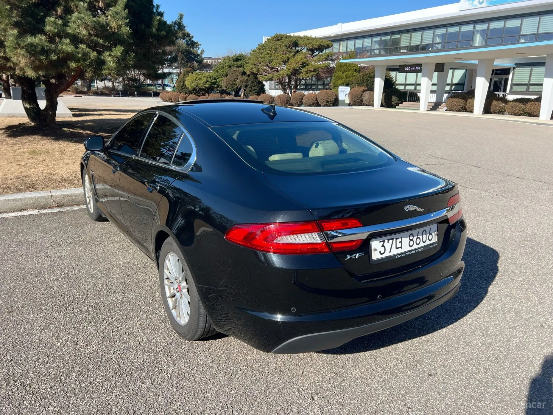 Jaguar New XF превью 4