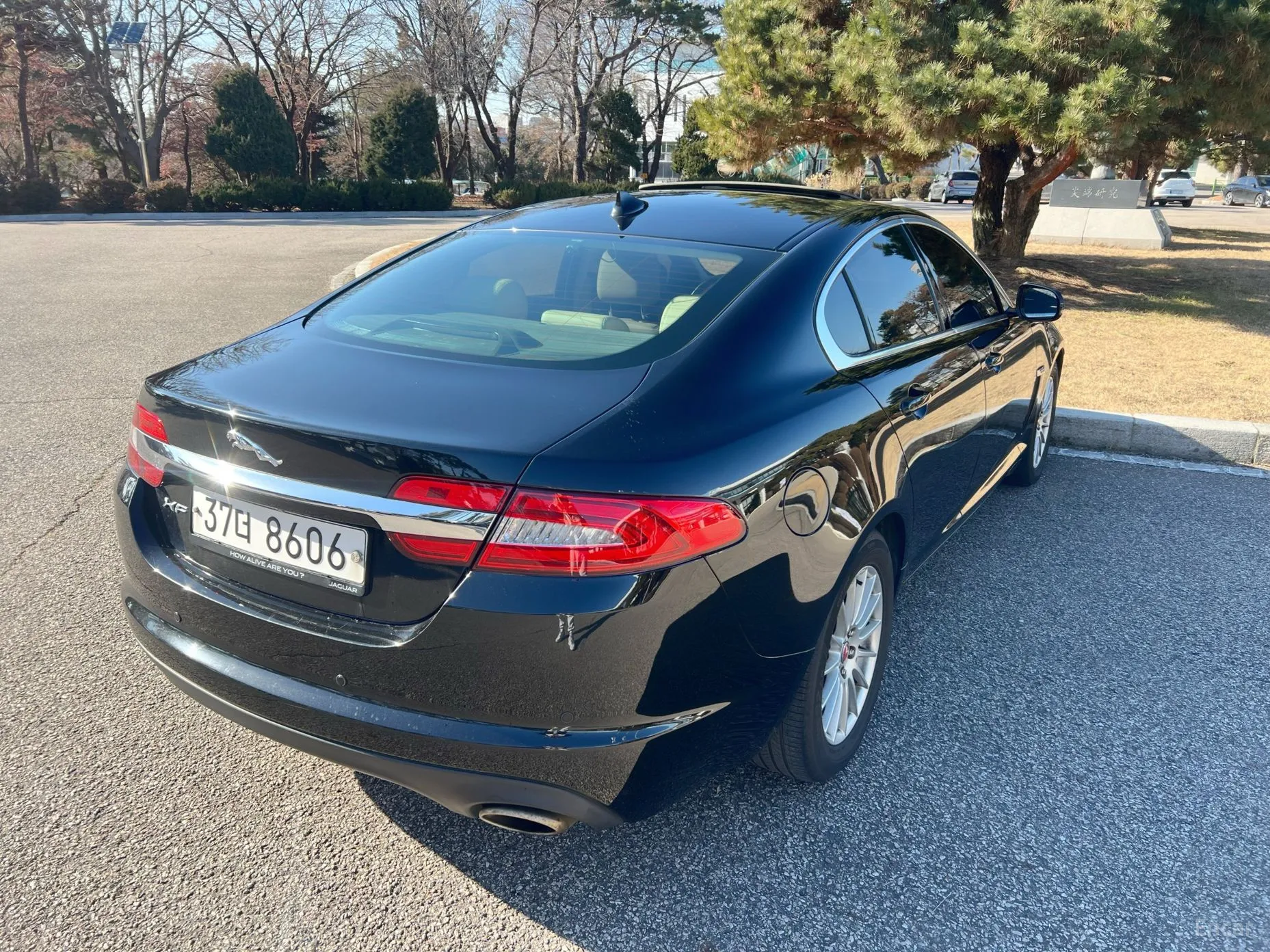Jaguar New XF превью 6