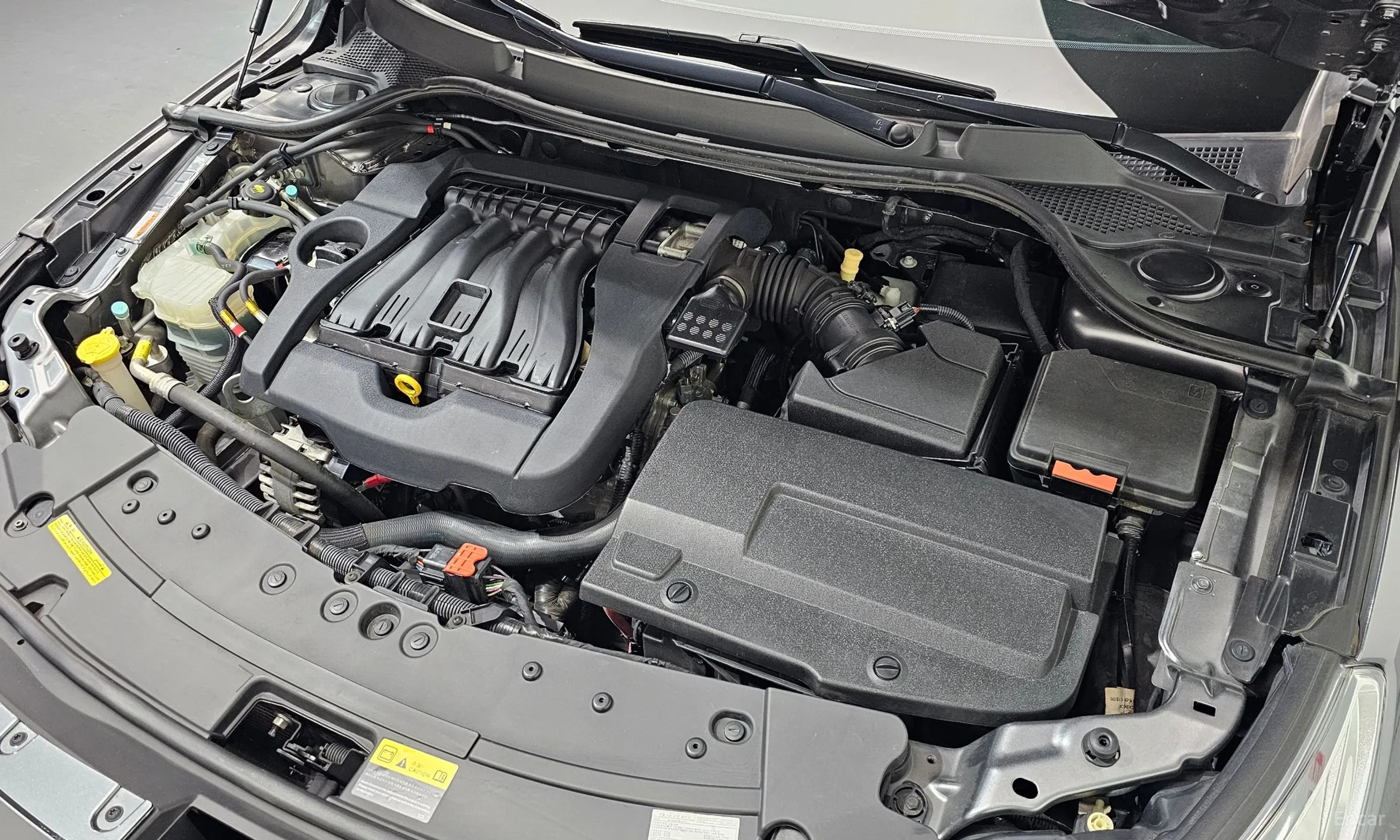 Renault Korea (Samsung) SM7 превью 6