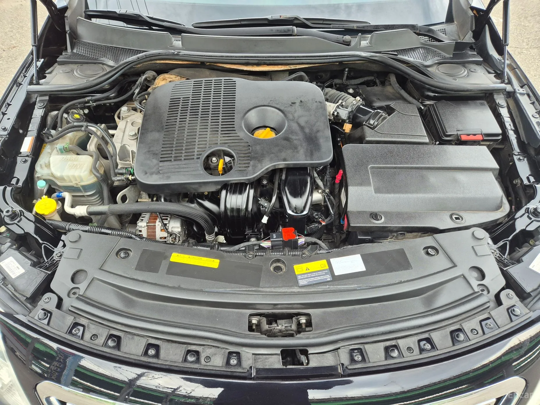 Renault Korea (Samsung) SM5 Platinum превью 6
